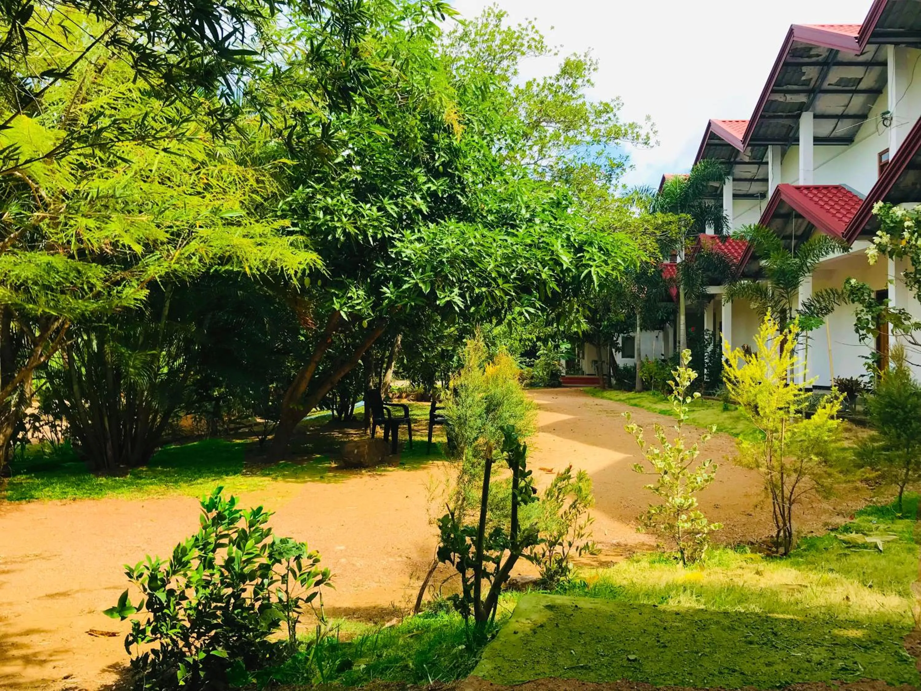 Garden in Rivonway Hotel Polonnaruwa