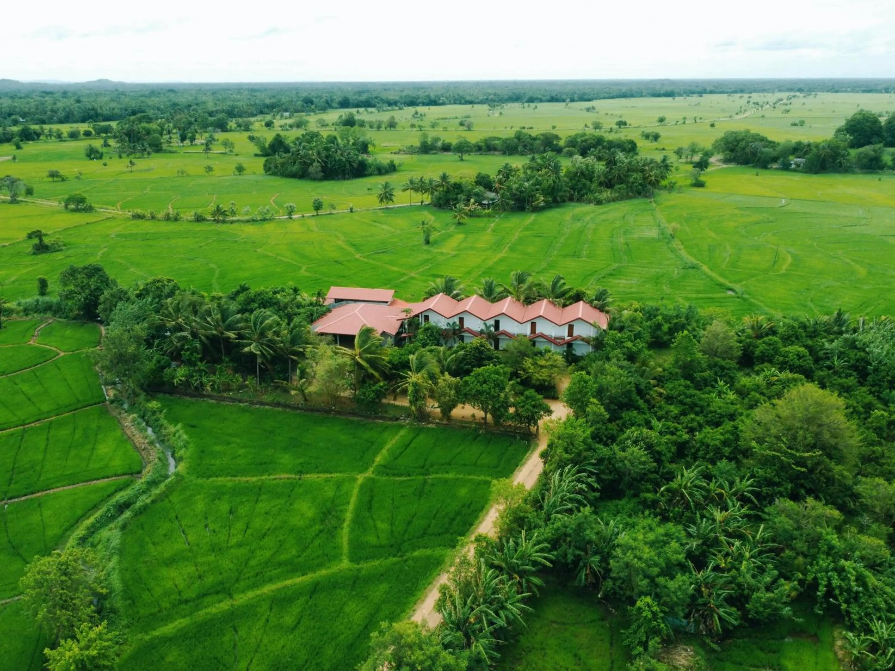 View (from property/room) in Rivonway Hotel Polonnaruwa