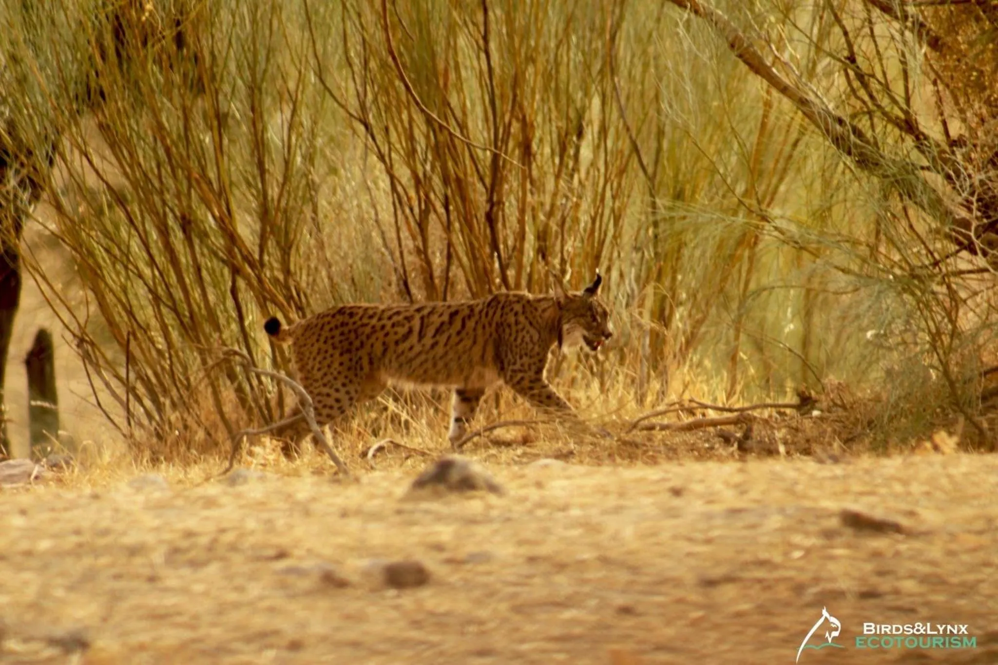 Nearby landmark in El Mesón de Despeñaperros