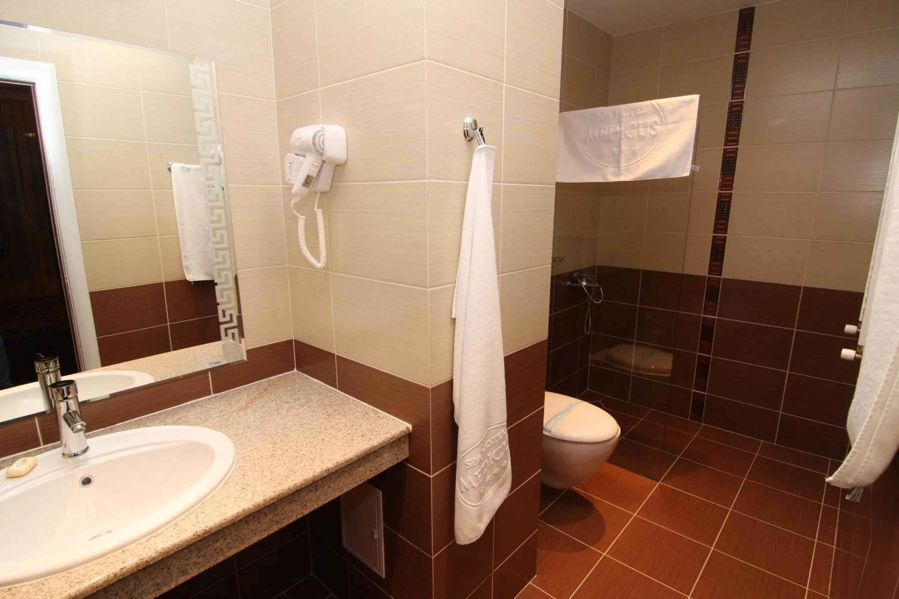 Shower in SPA Hotel Medicus