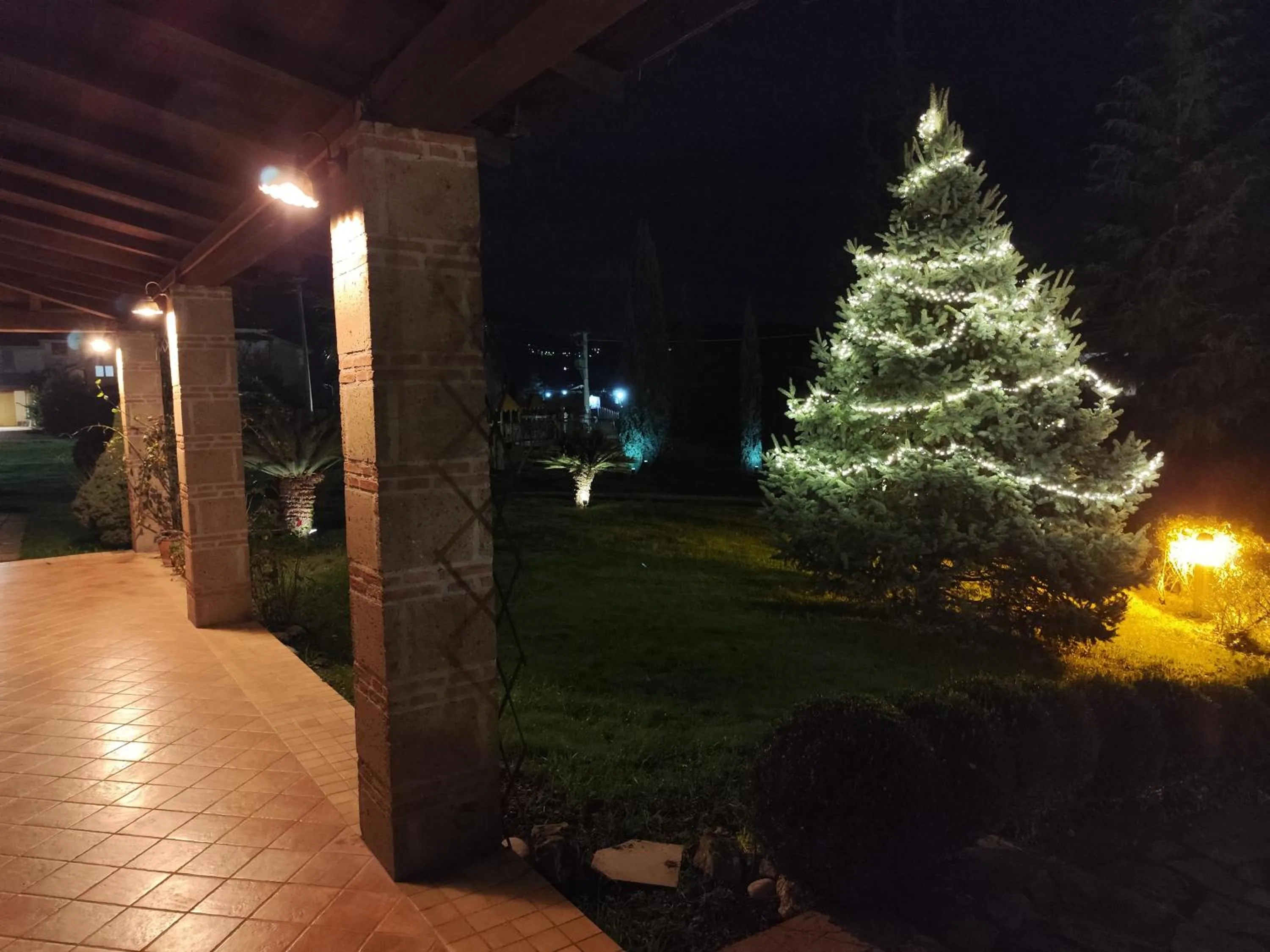 Garden in Villa Cristina