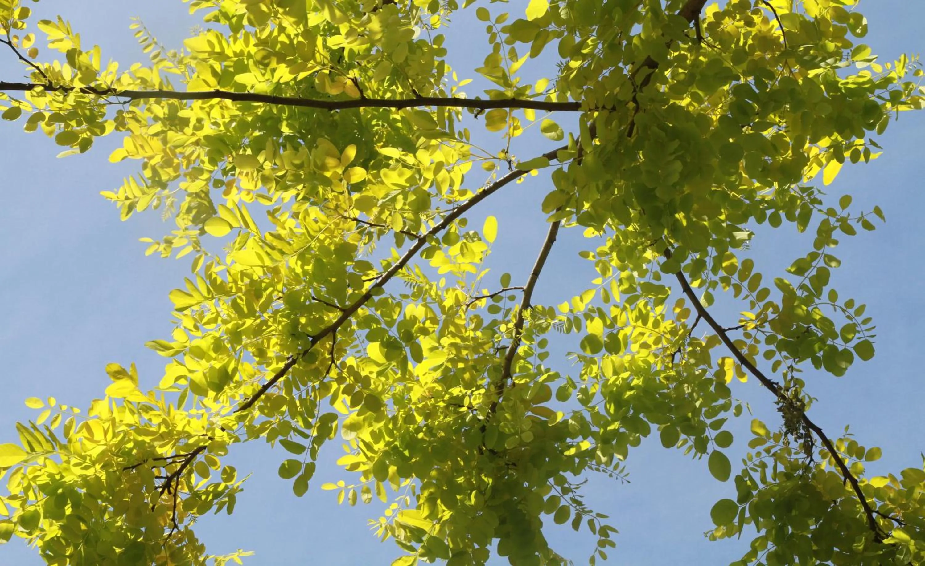 Other in Costa Carilo Apart de Mar By HS