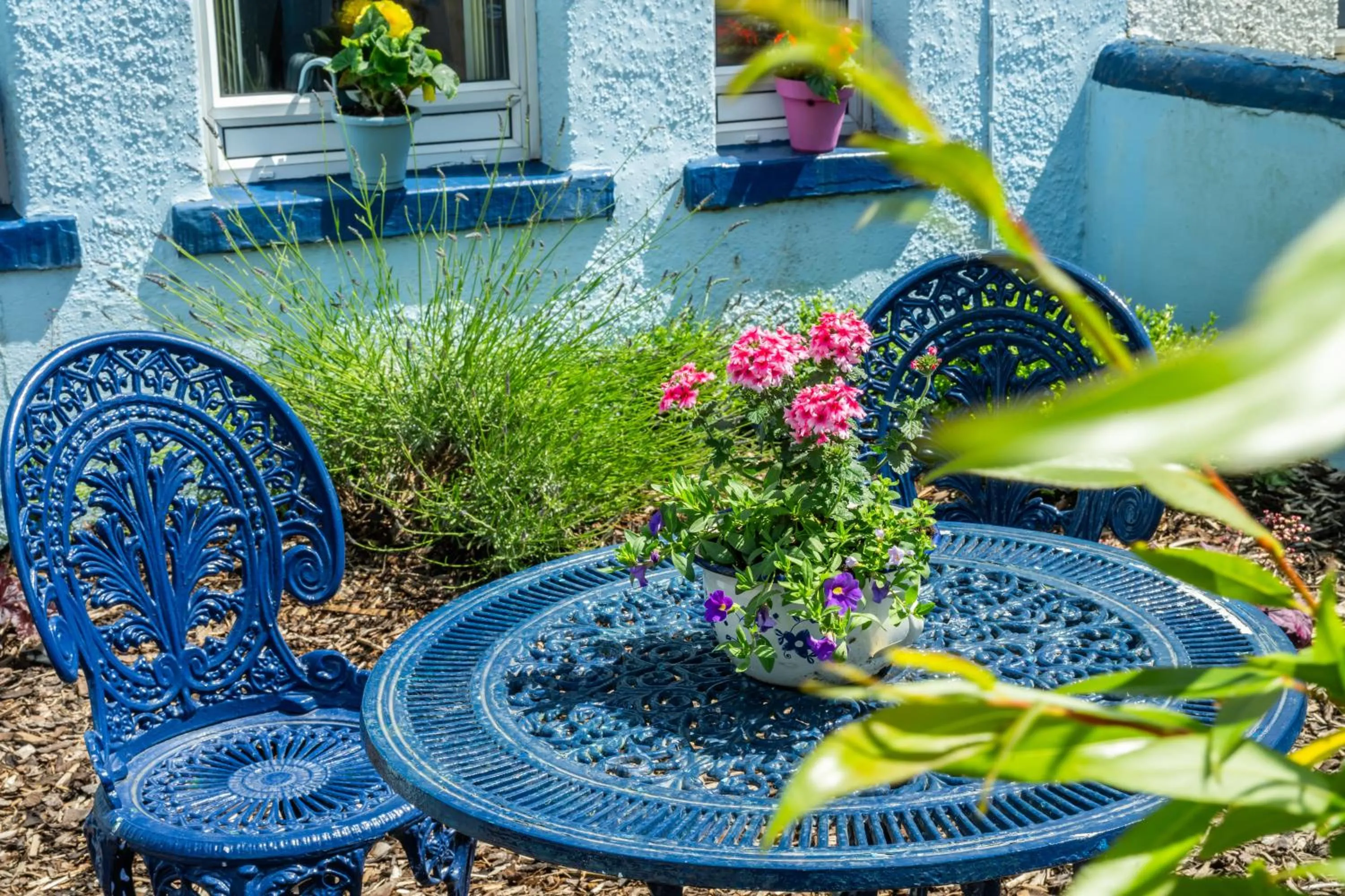 Garden in Dene House