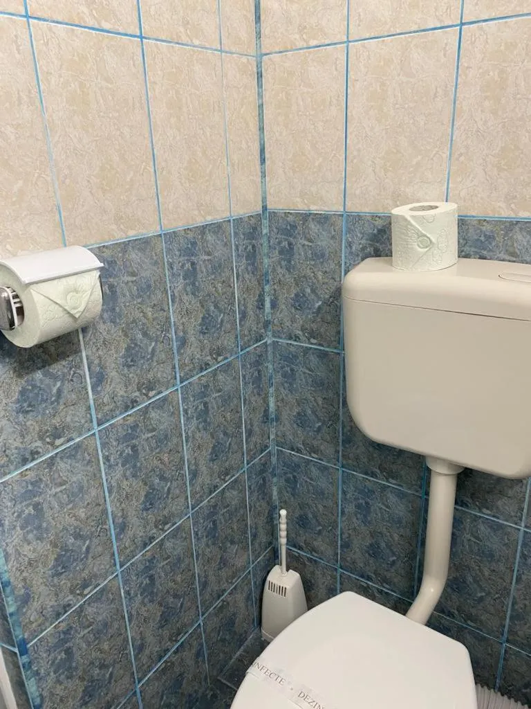 Toilet in Hotel Violeta