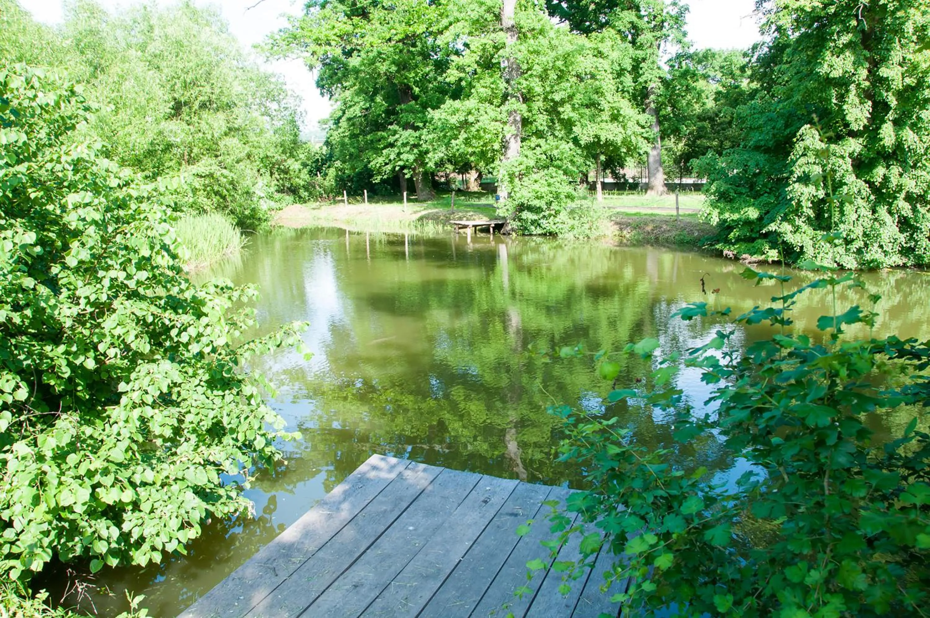 Day in Hotel President