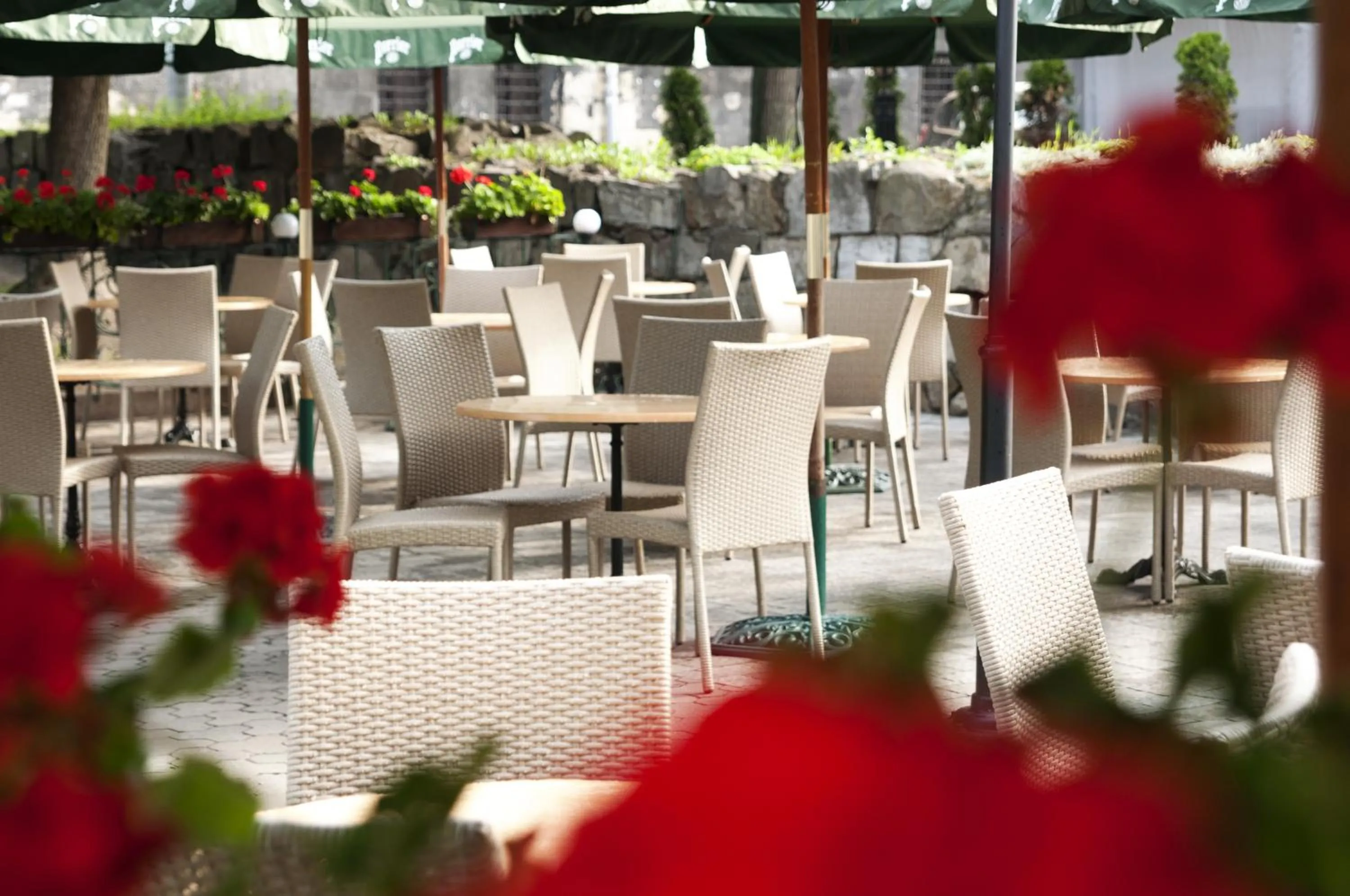 Restaurant/places to eat in Wien Hotel