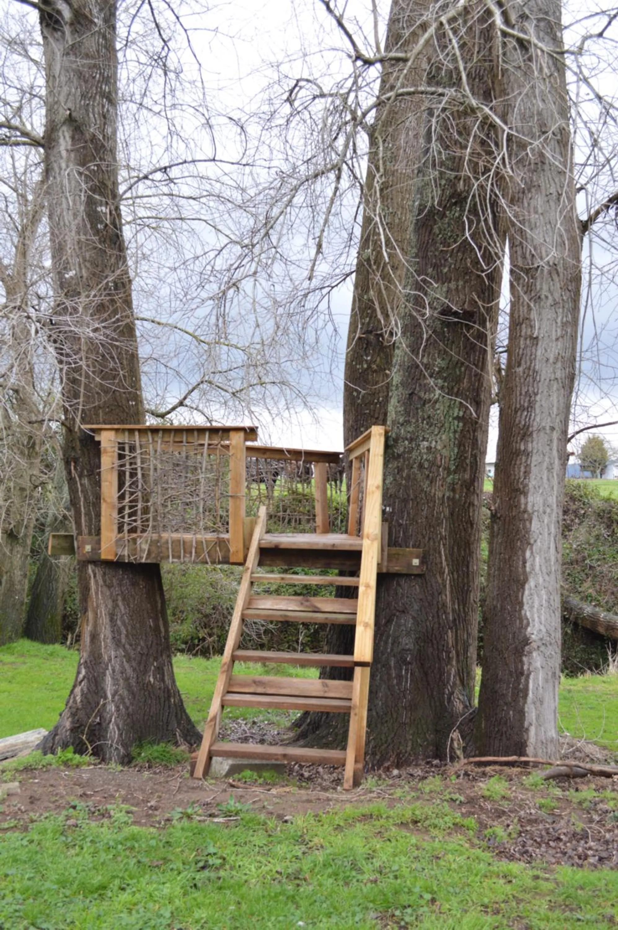 Garden in Poplar Creek
