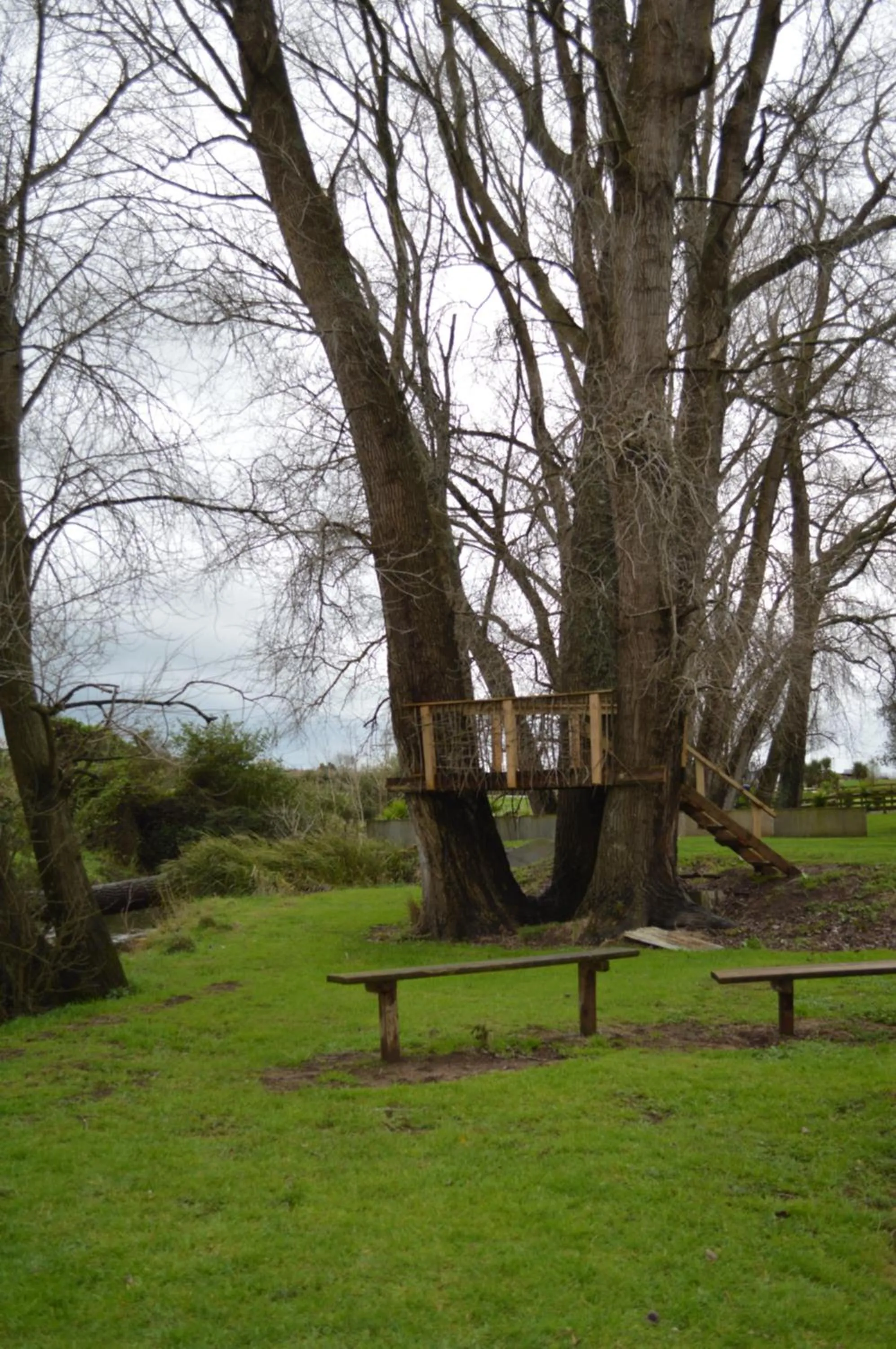 Property building in Poplar Creek