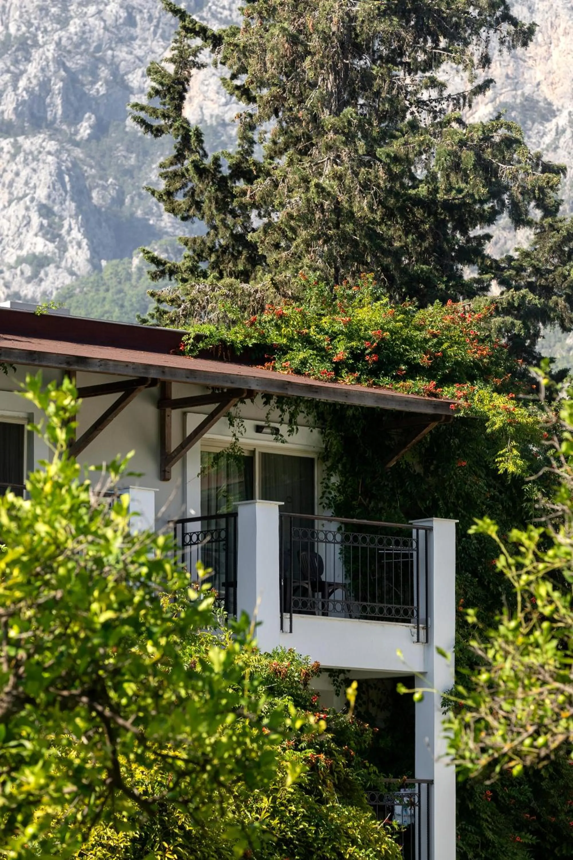 Garden in Sherwood Exclusive Kemer - Kids Concept