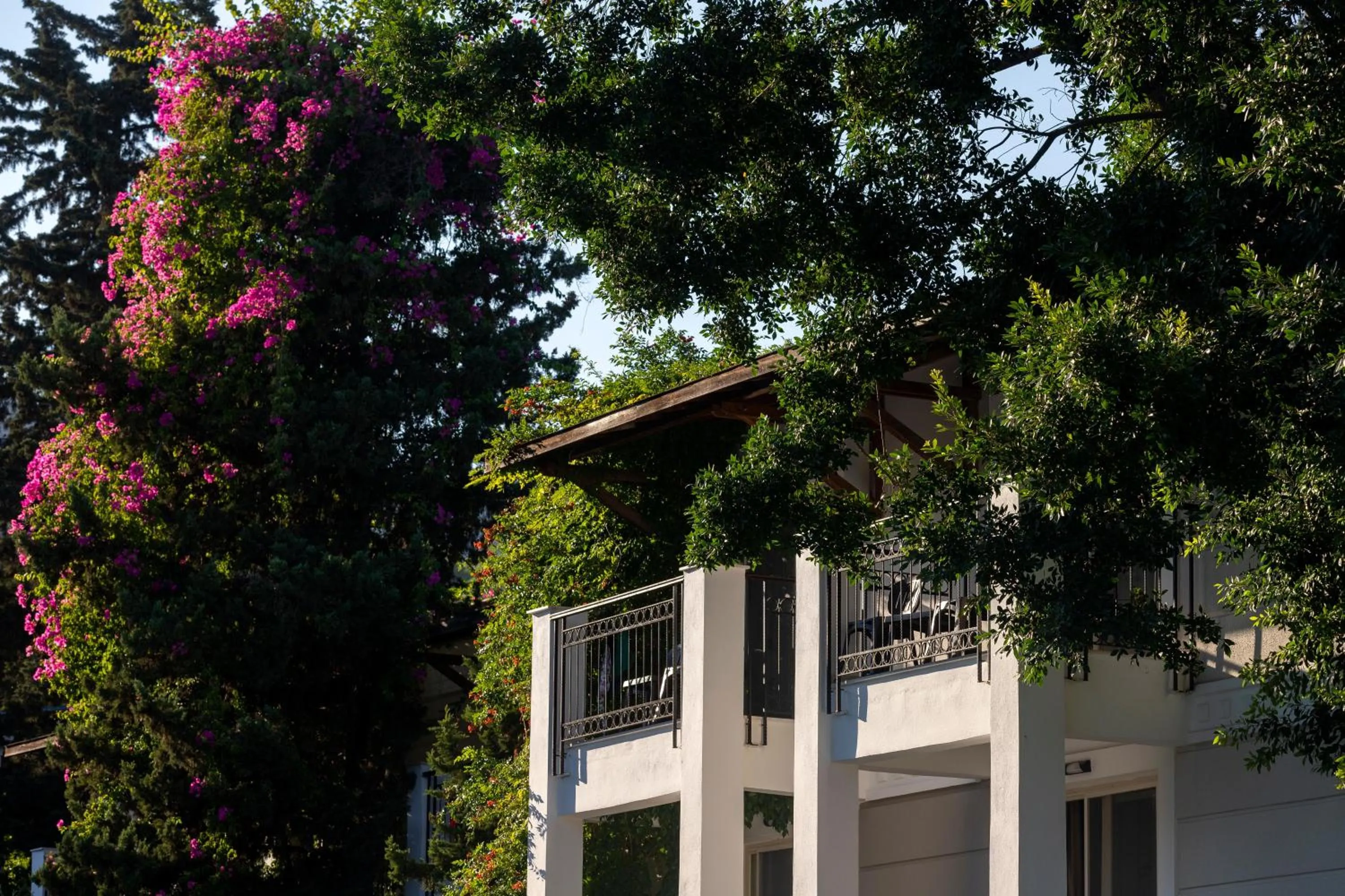 Garden in Sherwood Exclusive Kemer - Kids Concept