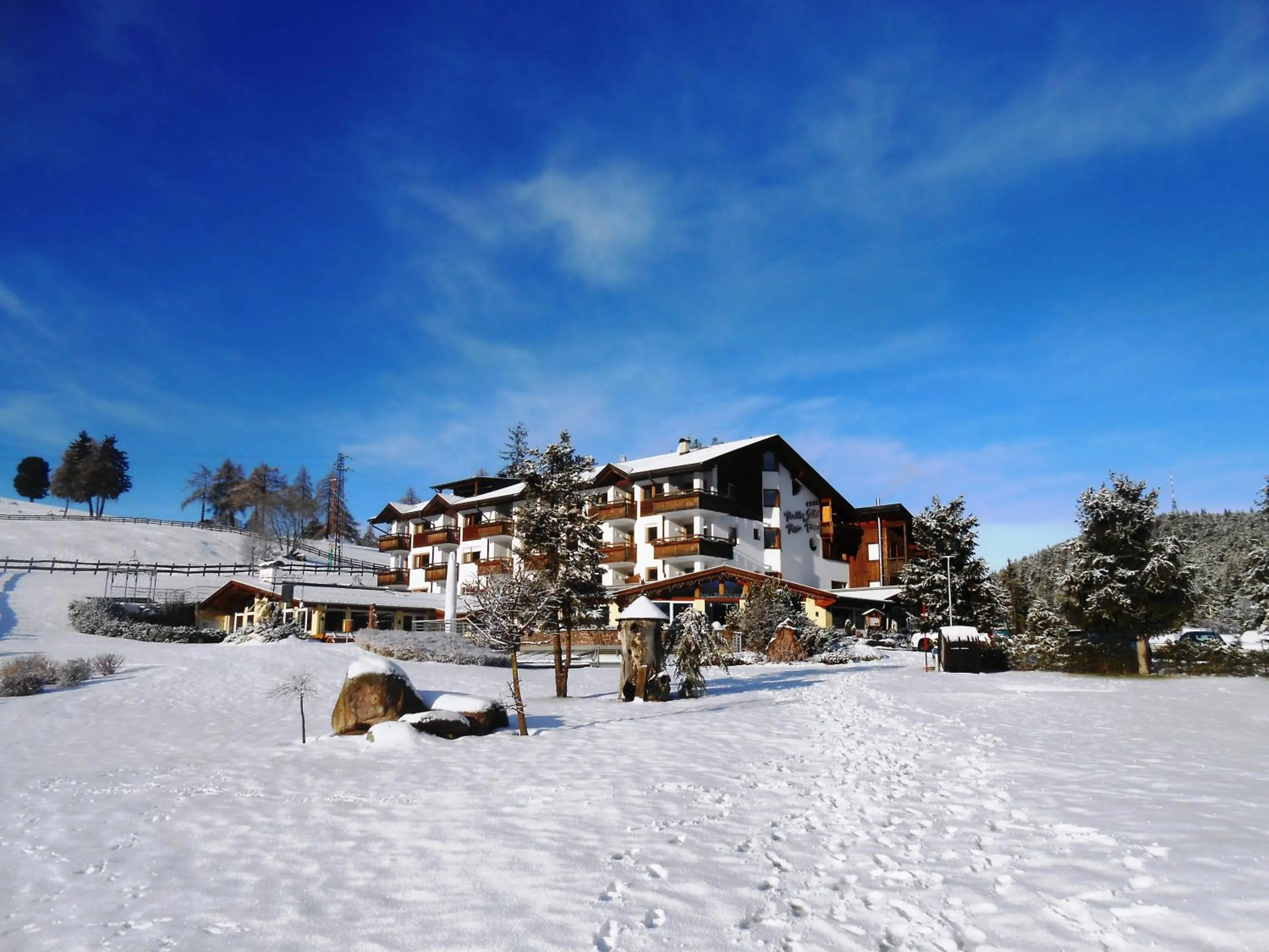 Facade/entrance in Hotel Pinei