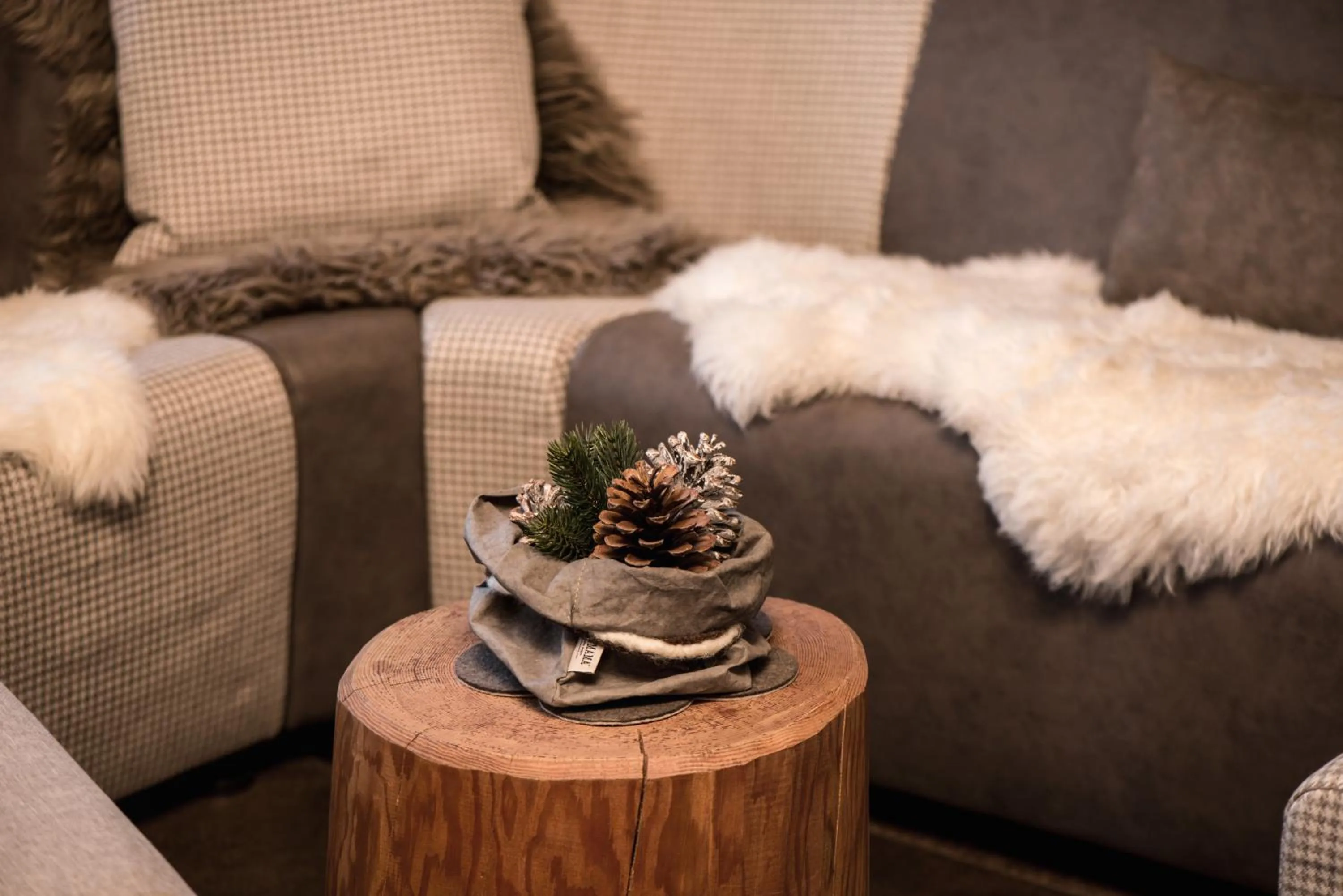 Lounge or bar in Hotel Pinei