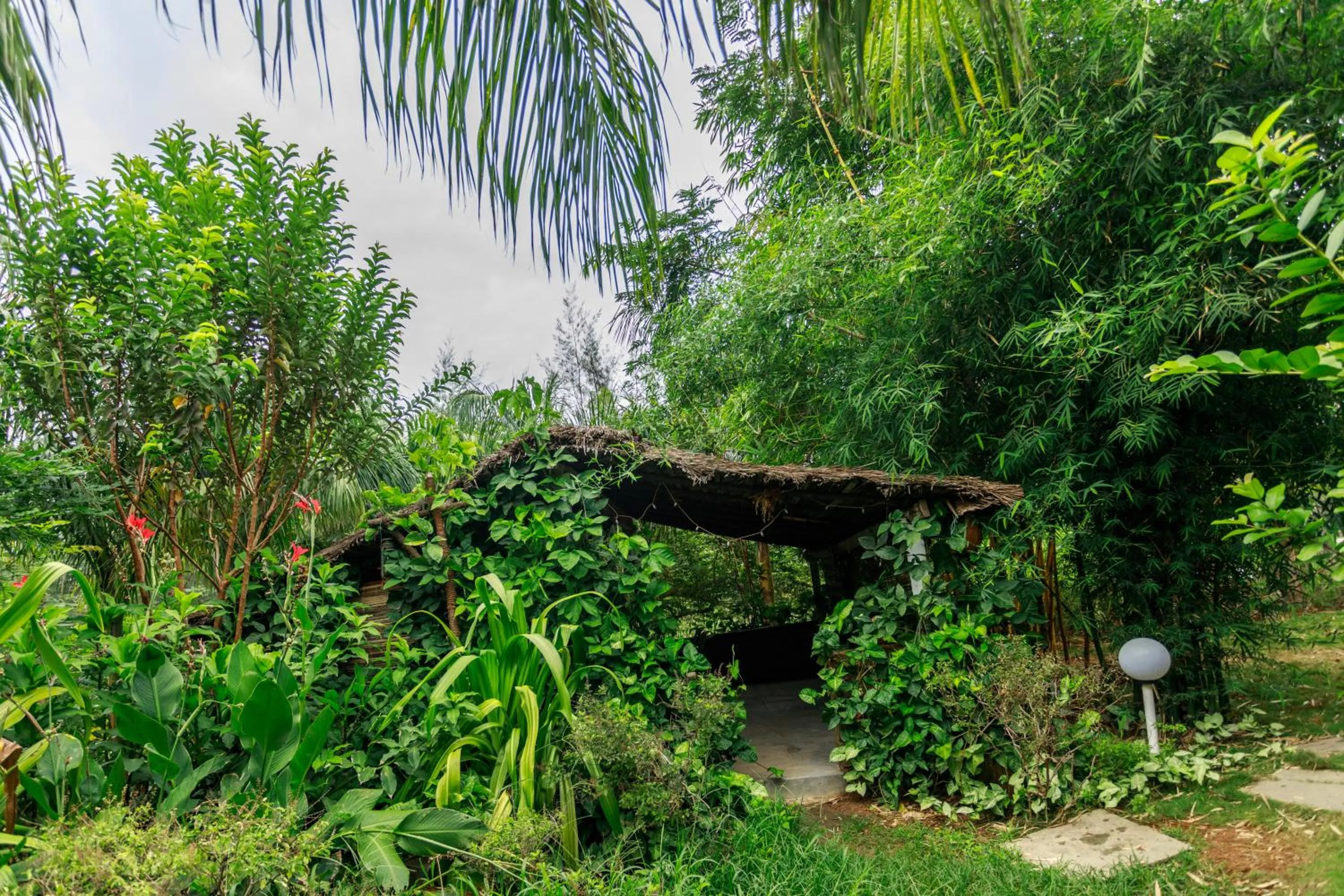 Garden in SR Jungle Resort