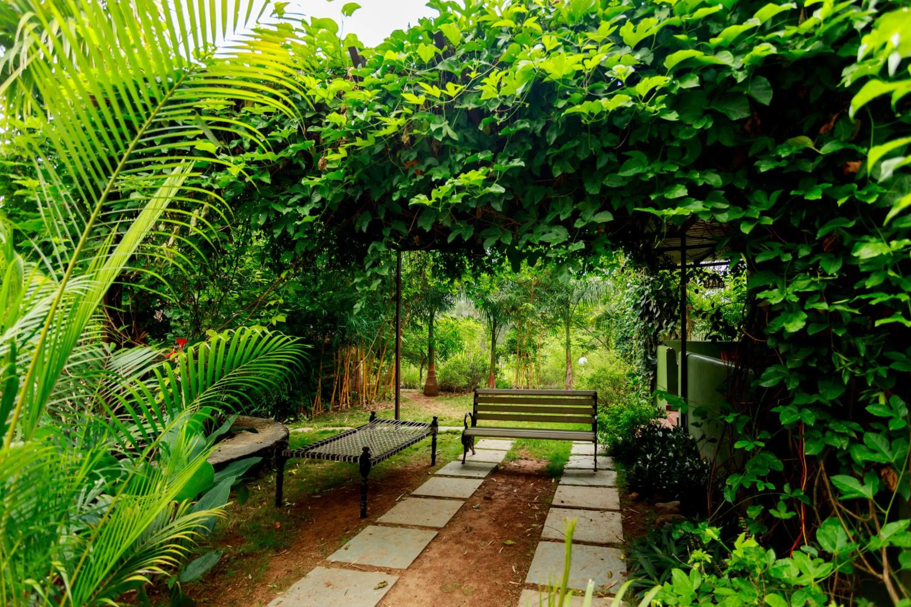 Garden in SR Jungle Resort