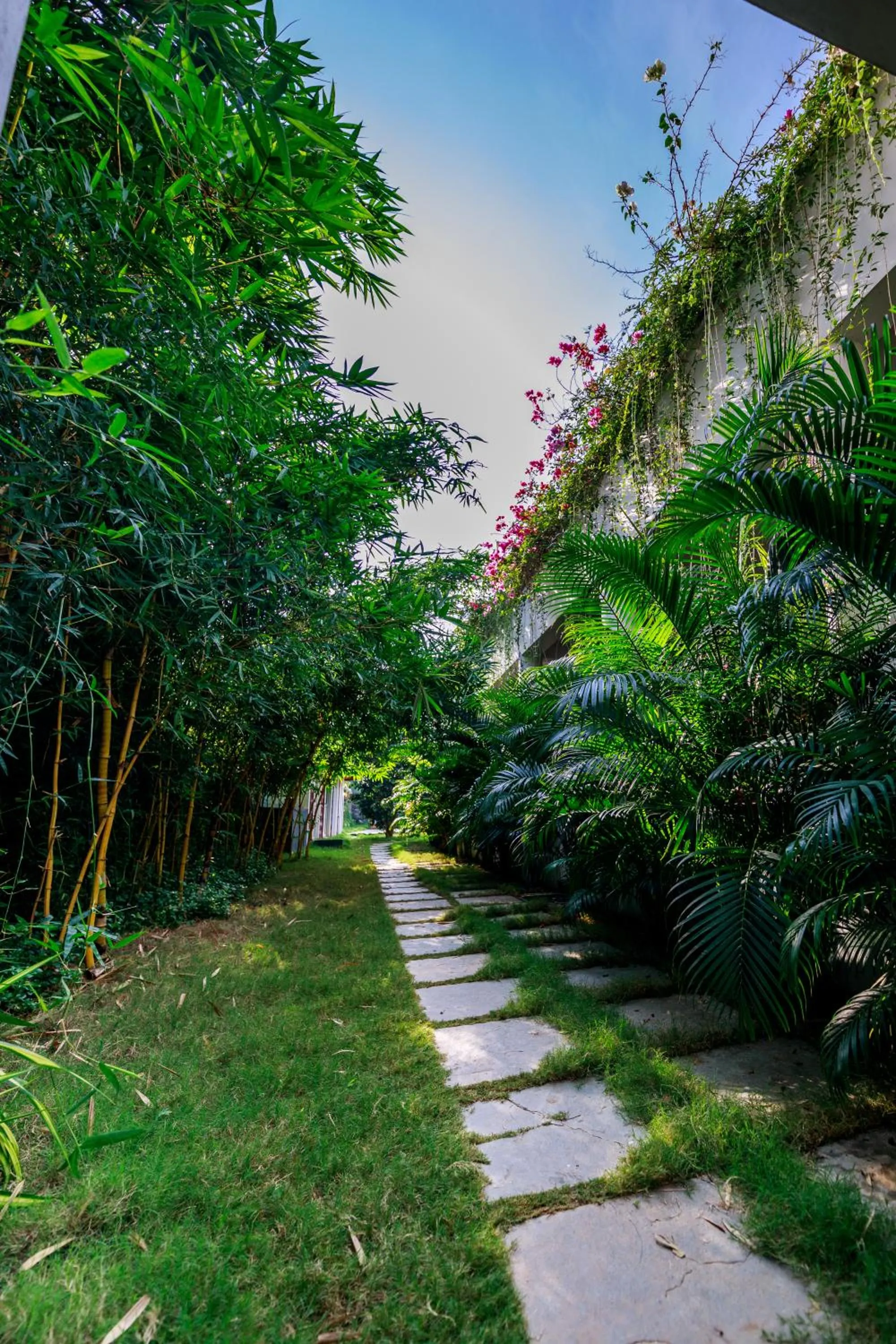 Garden in SR Jungle Resort