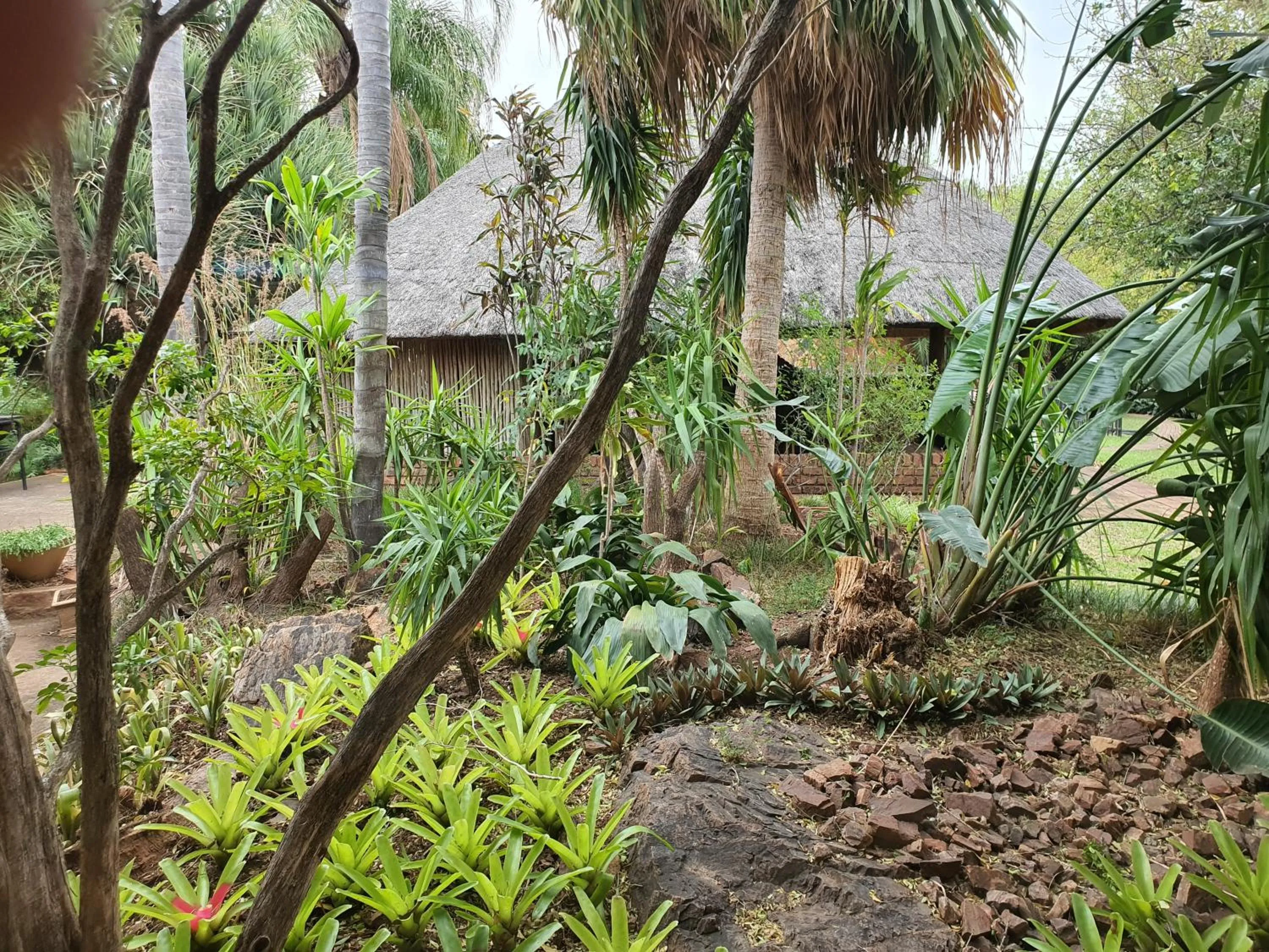Garden view in Selati 103 Guest Cottages
