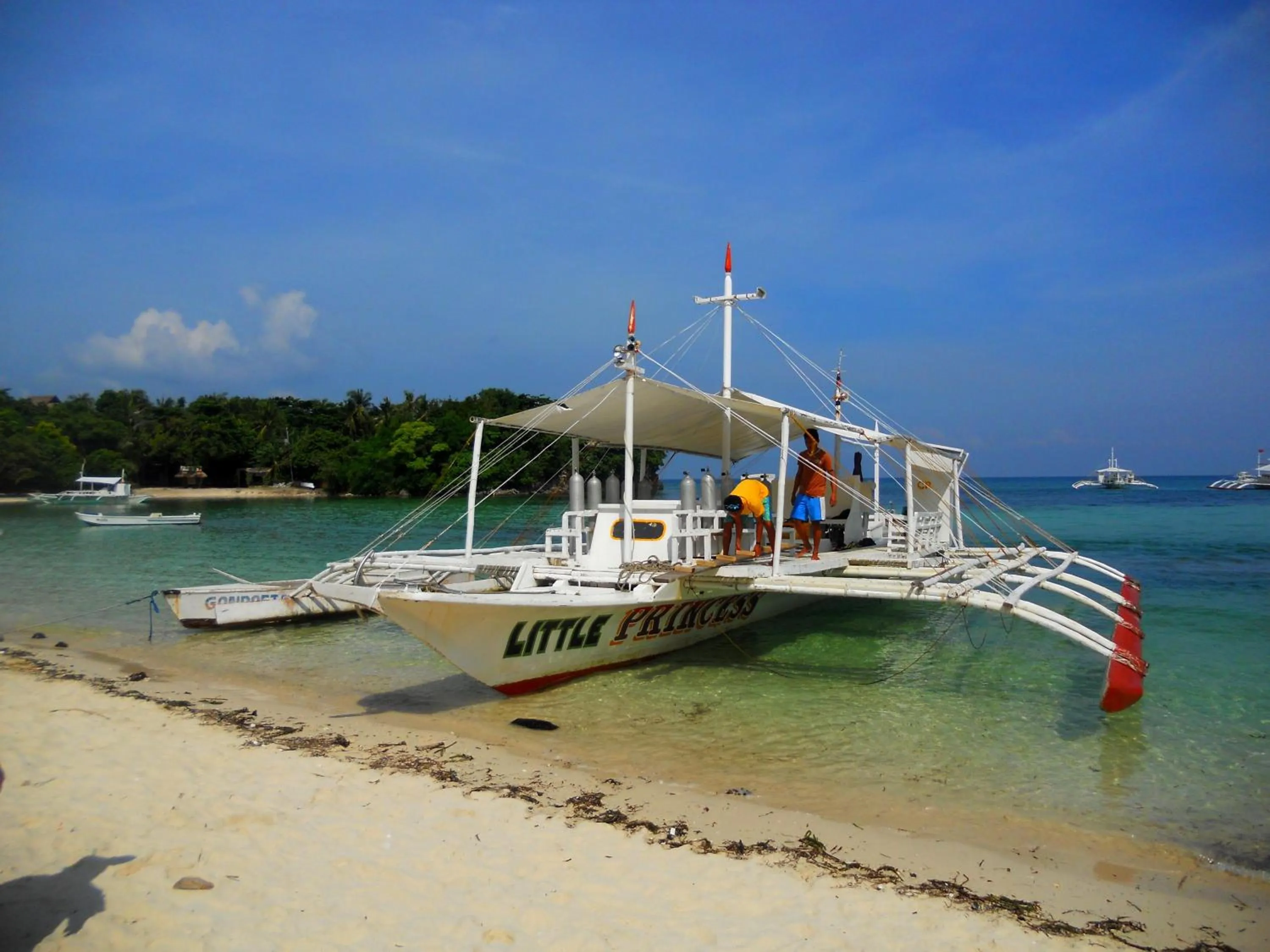 Diving in SLAM'S Garden Dive Resort