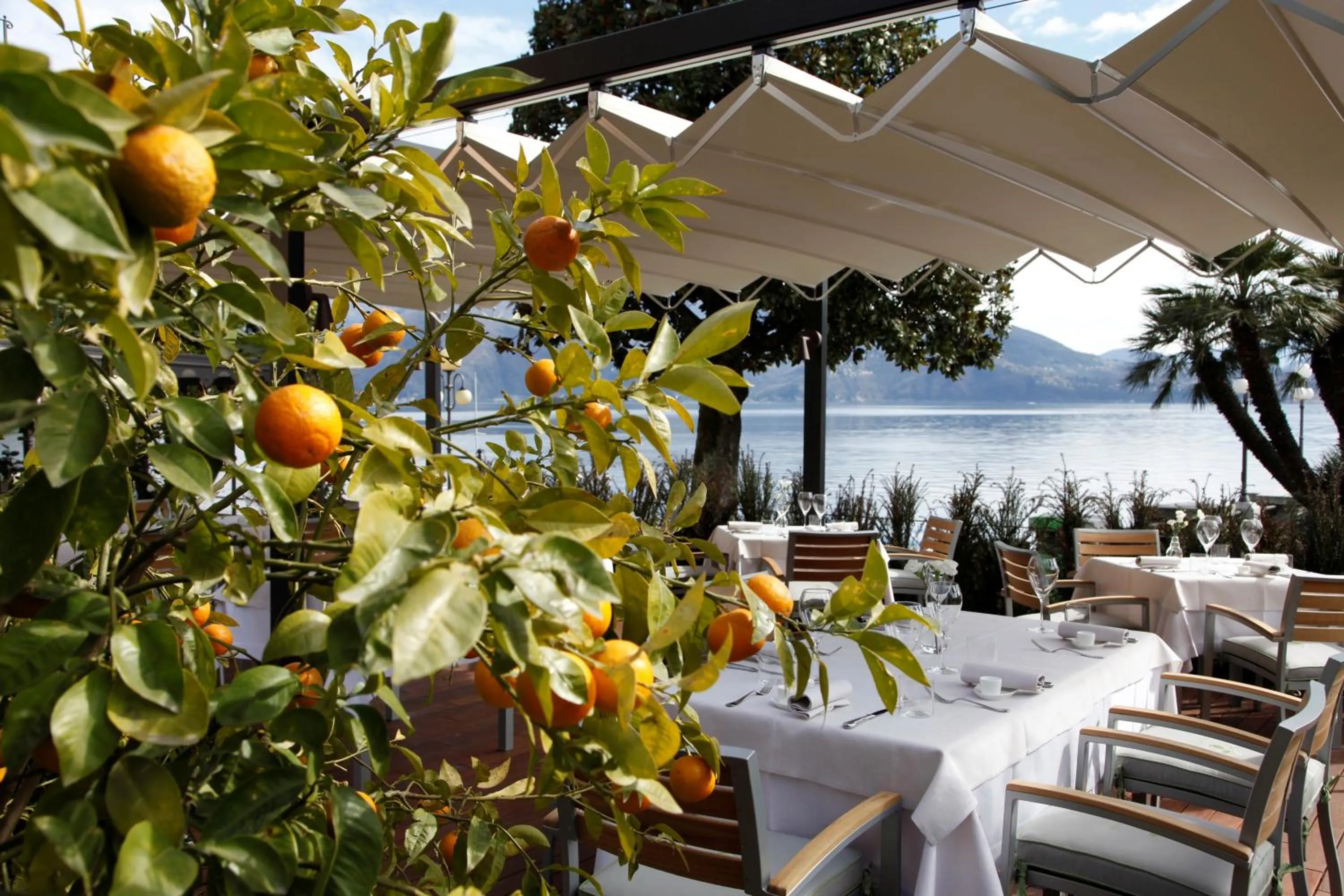 Restaurant/places to eat in Hotel Arancioamaro