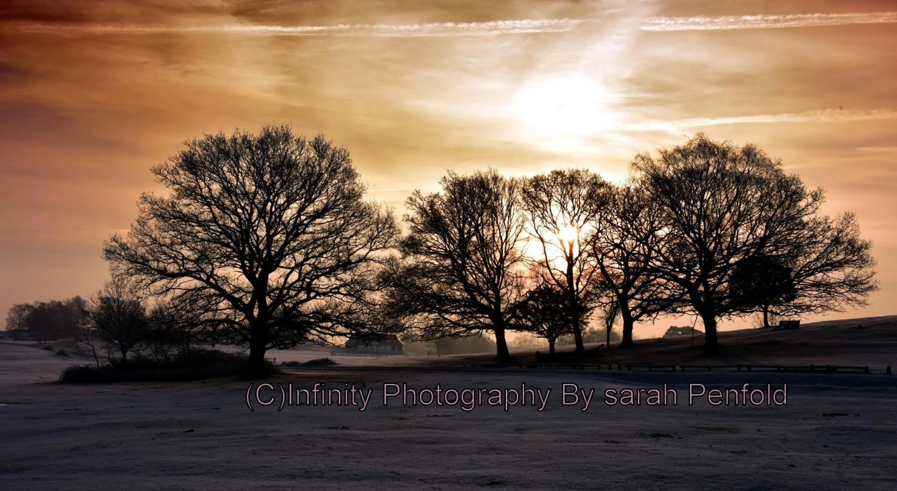 Natural landscape in Rosedale Bed and Breakfast