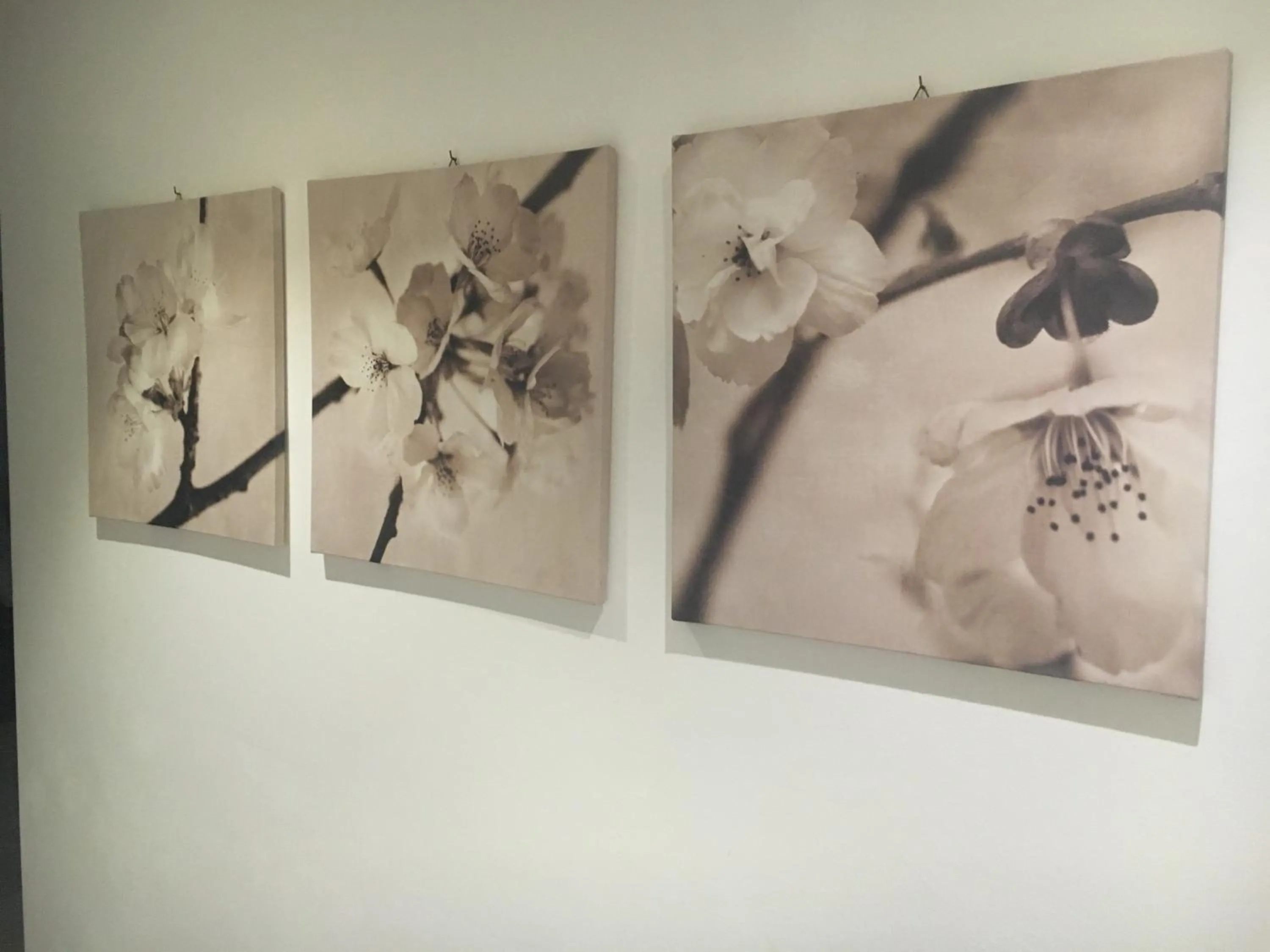 Spa and wellness centre/facilities in Garni Enrosadira