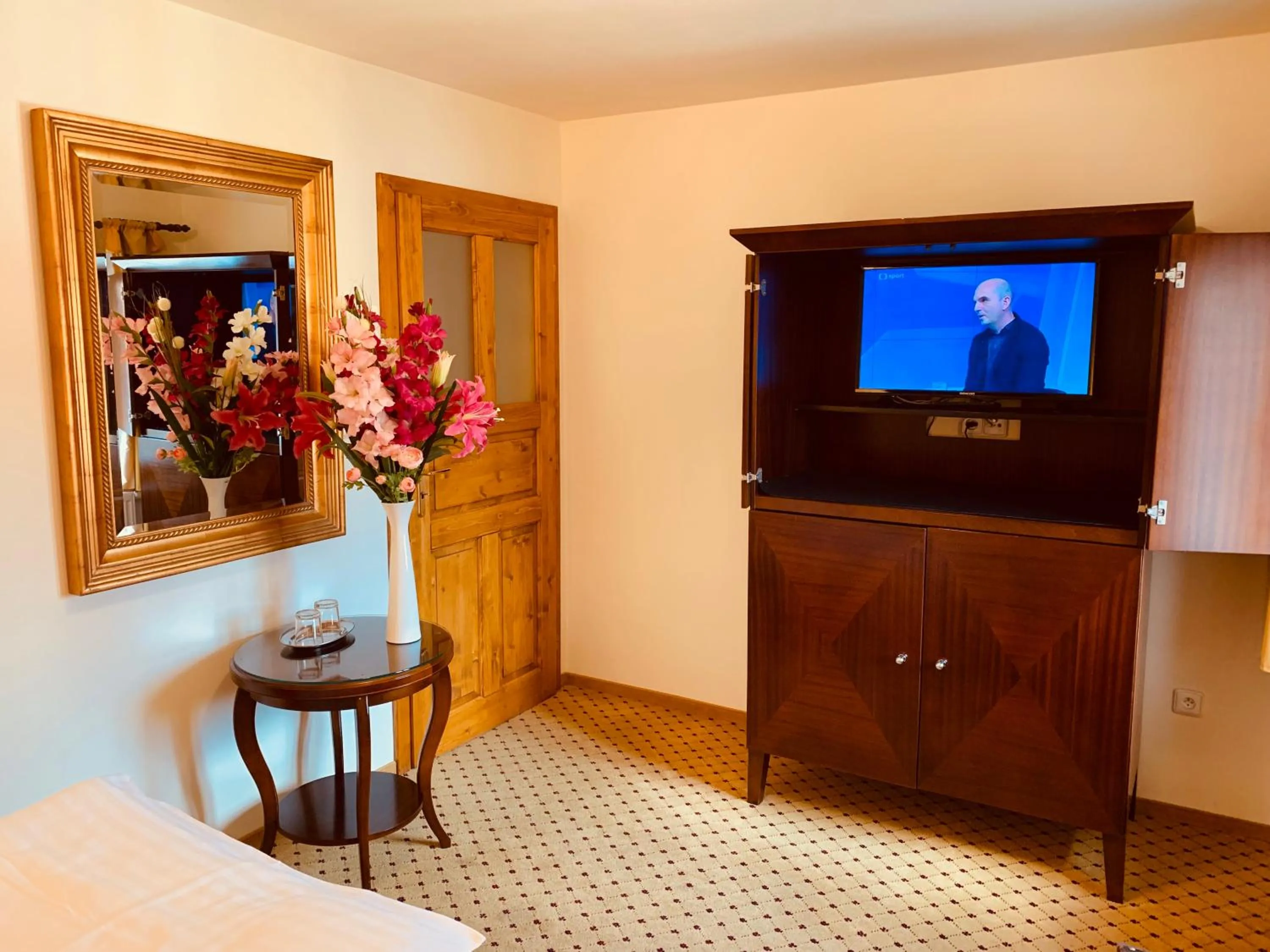 TV and multimedia in Penzion Kapr