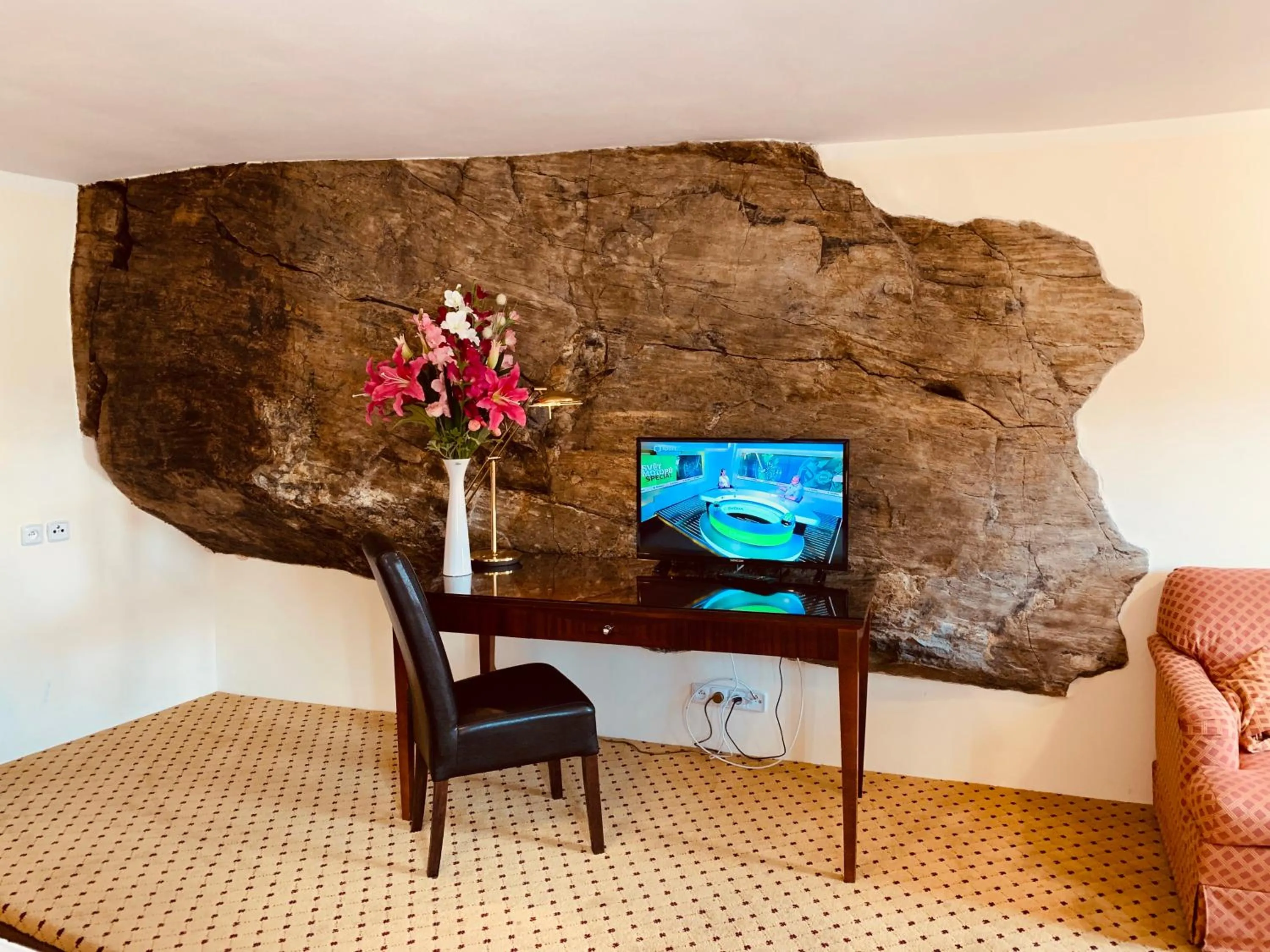 TV and multimedia in Penzion Kapr