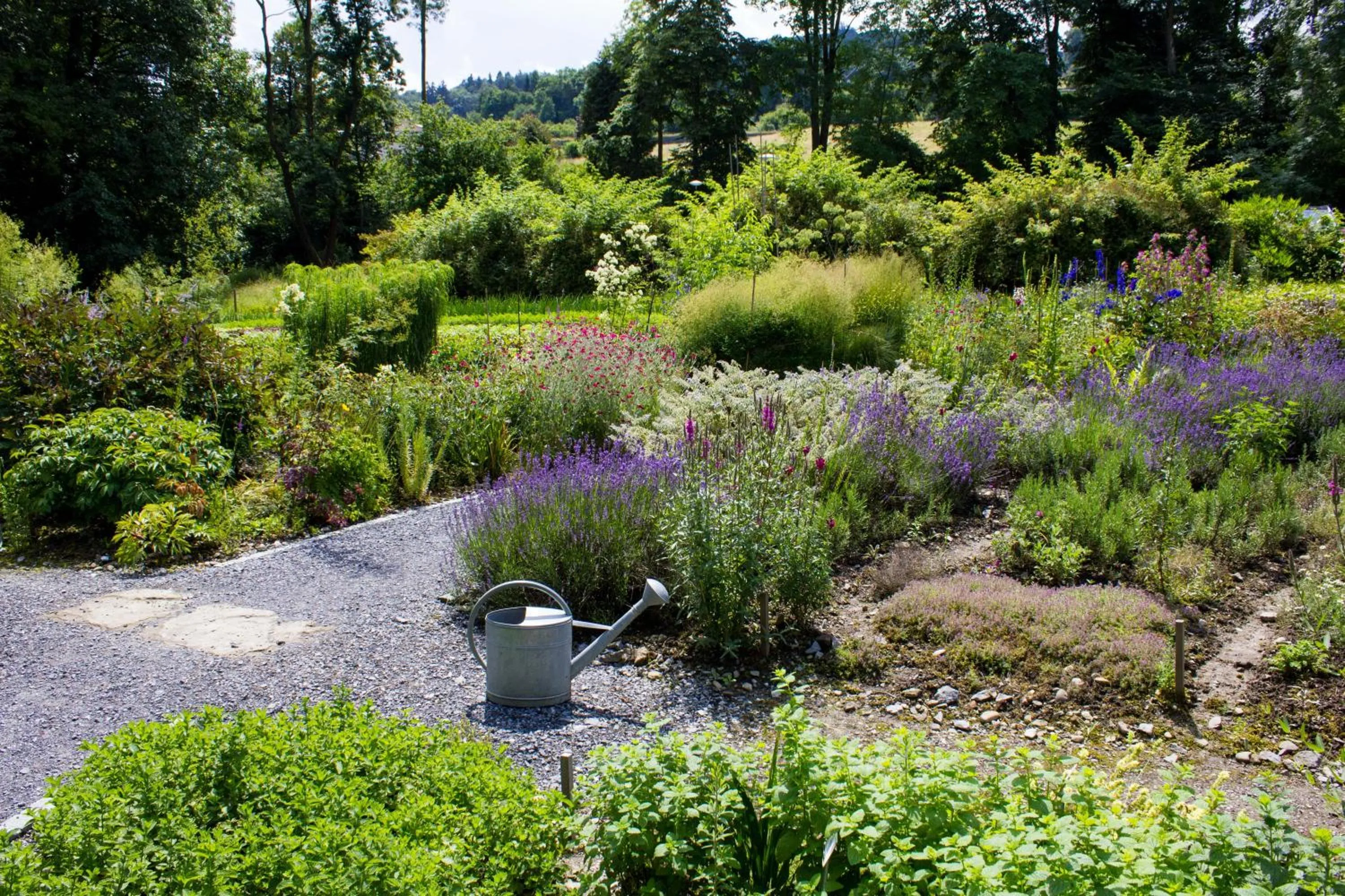 Garden in Schloss Wartegg