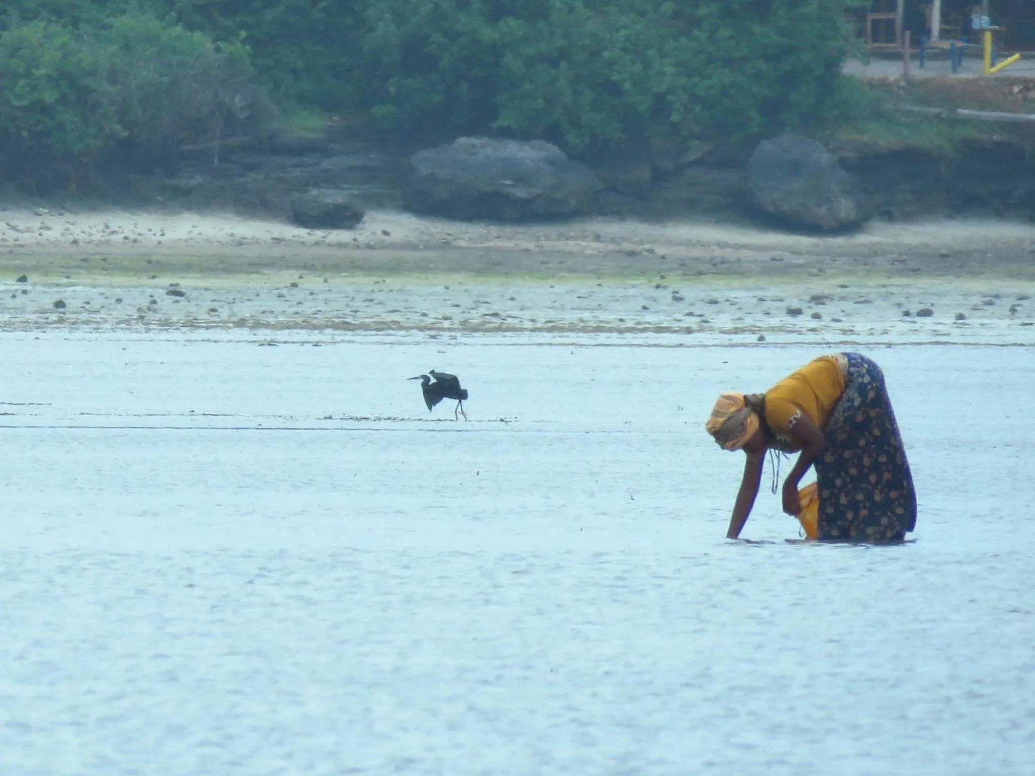 Off site in Kivulini Lodge and Restaurant