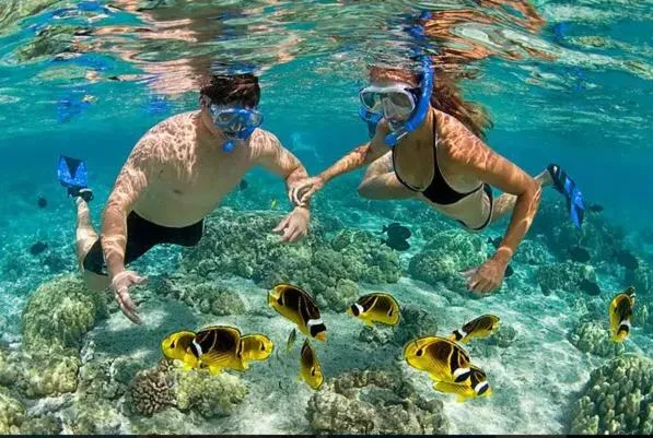 Snorkeling in Kivulini Lodge and Restaurant