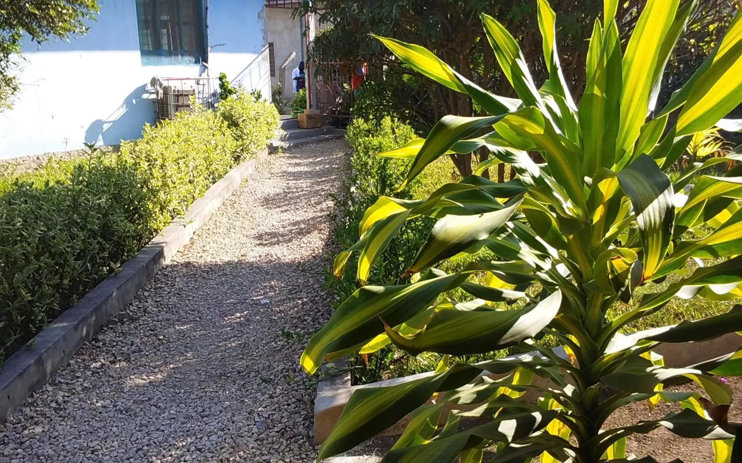 Restaurant/places to eat in Kivulini Lodge and Restaurant