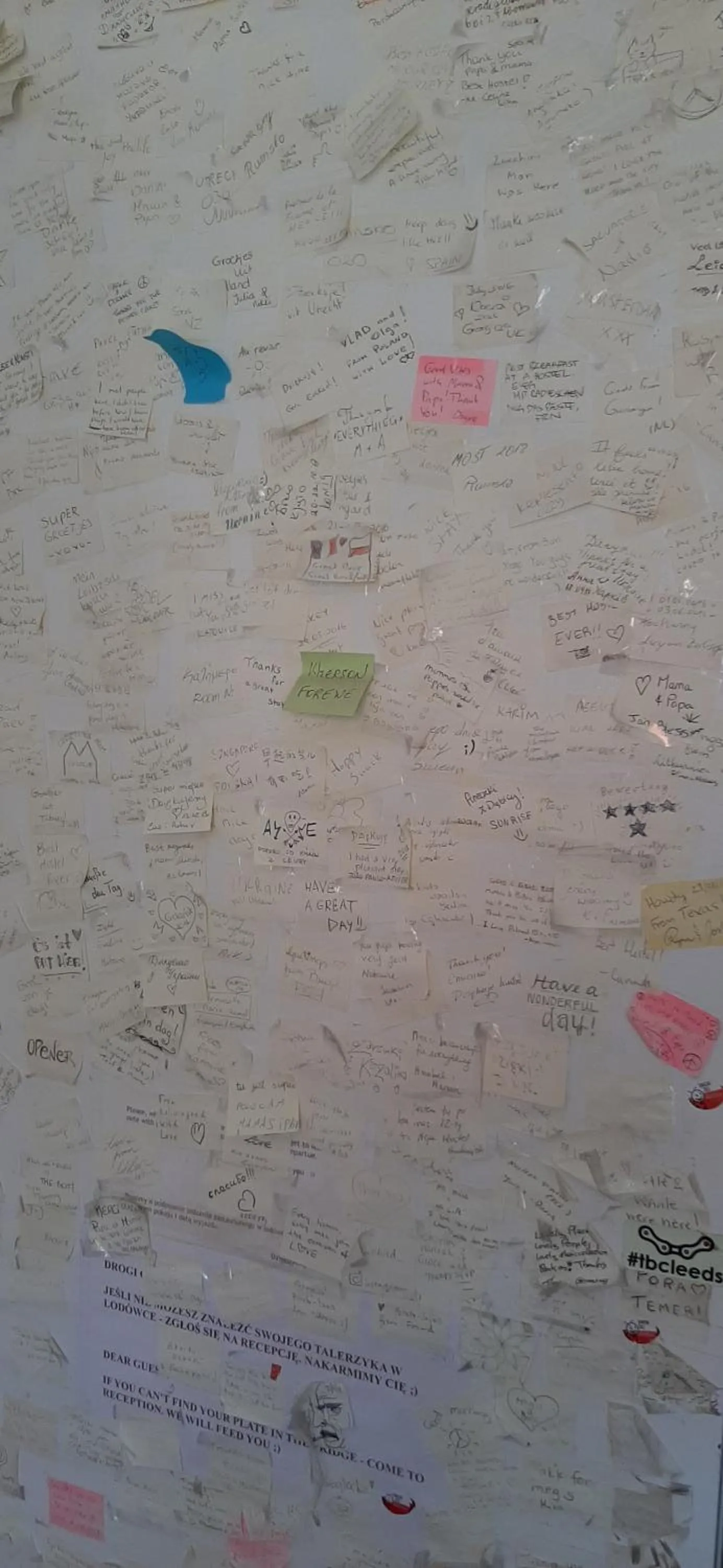 Hostel Mamas & Papas