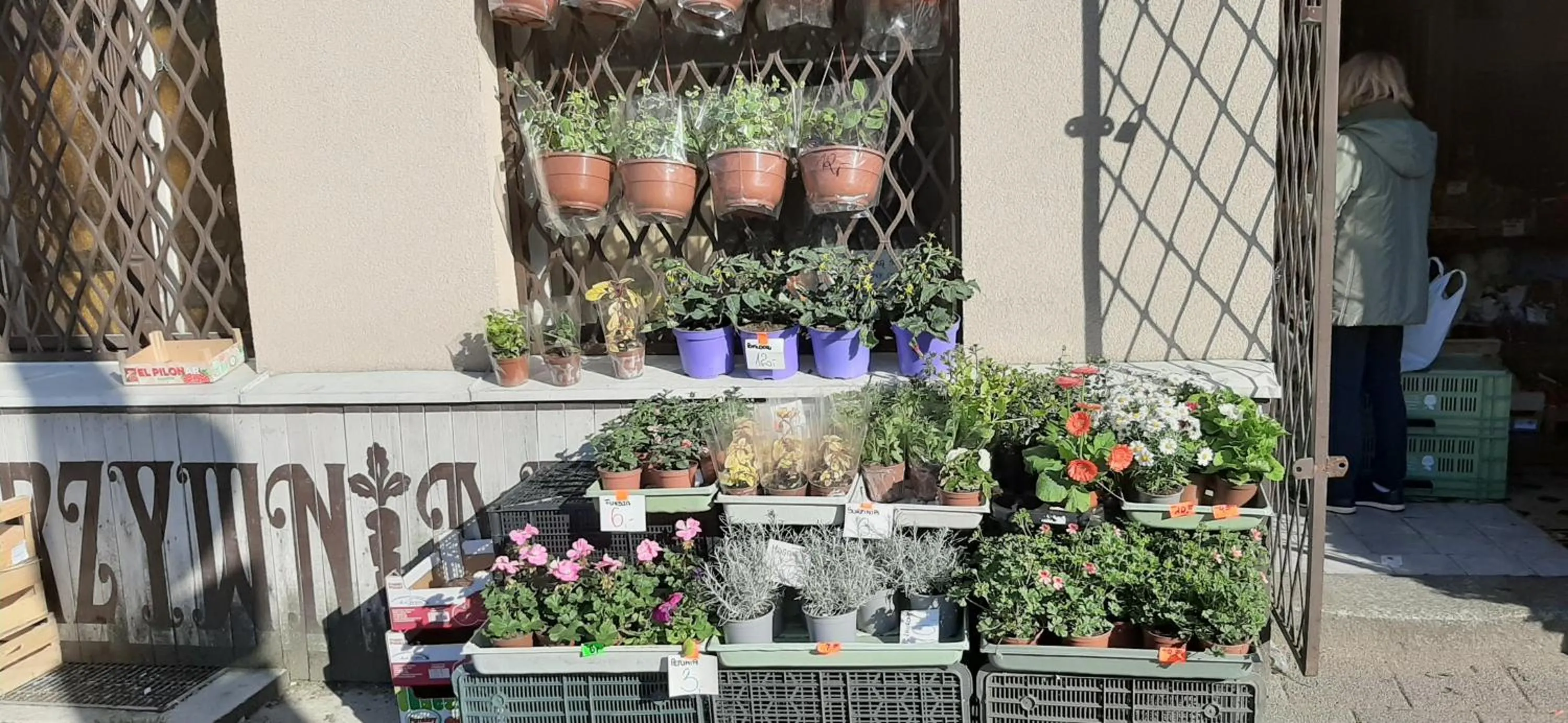 Hostel Mamas & Papas