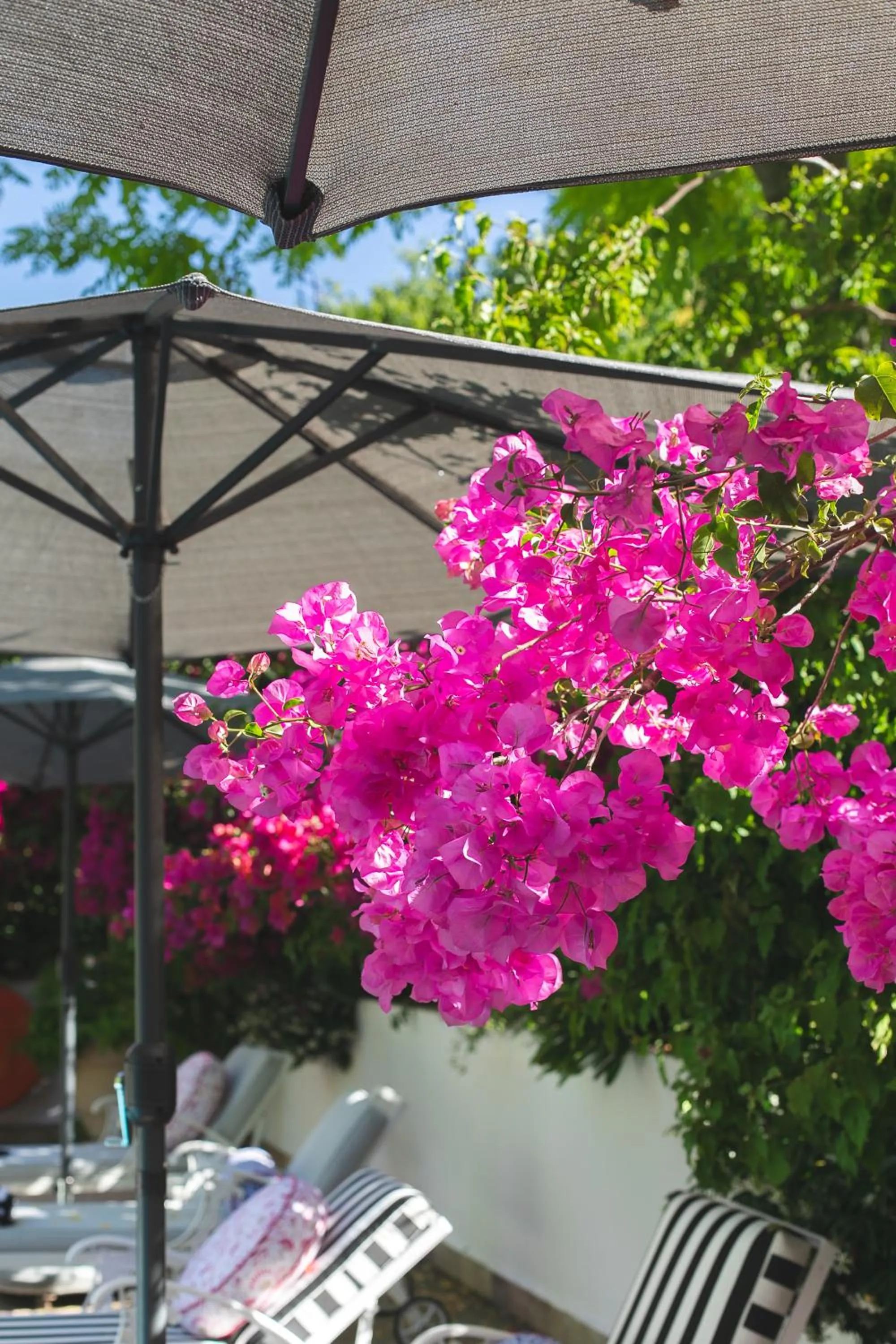 Garden in Last Word Constantia