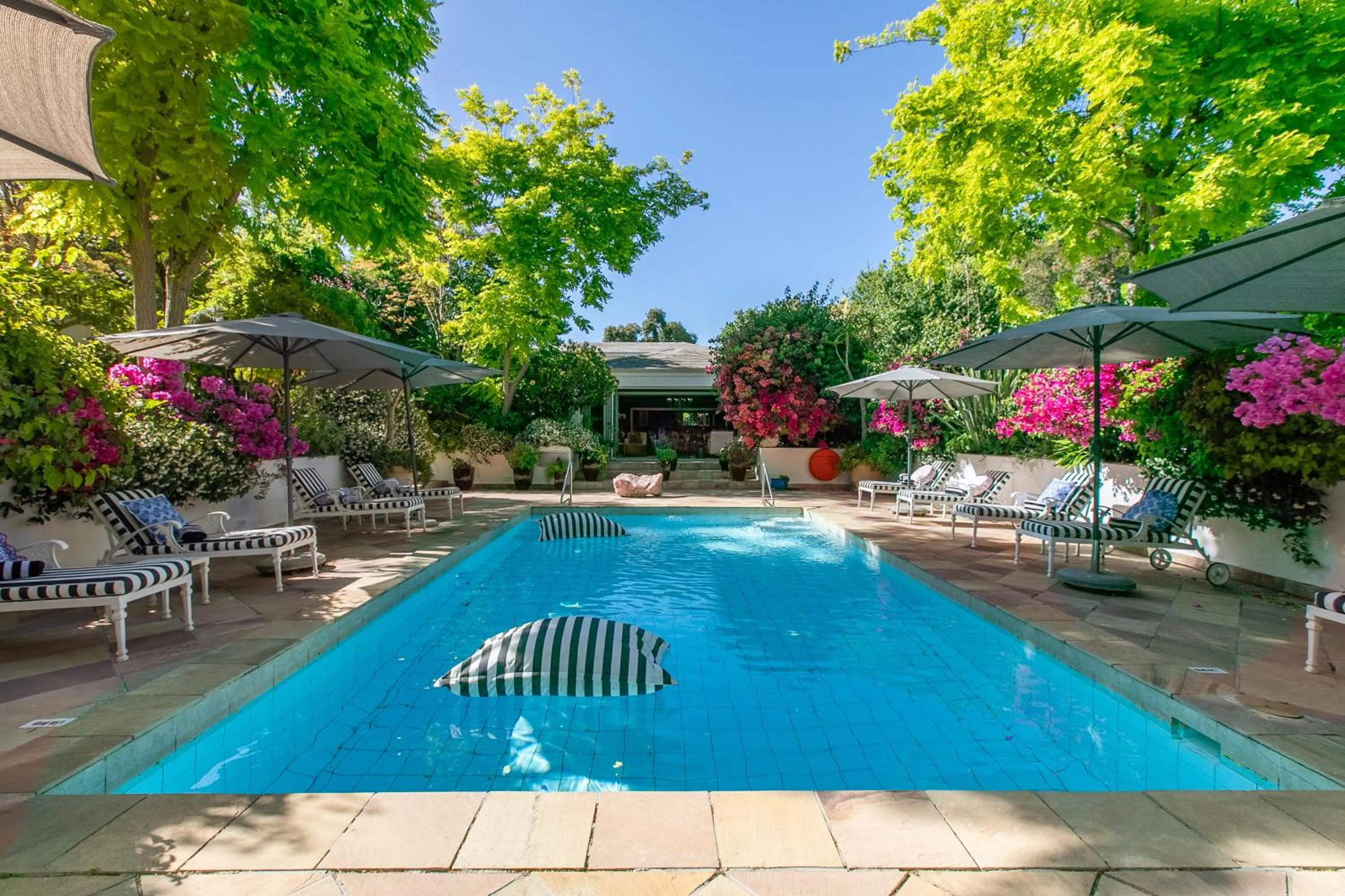 Swimming pool in Last Word Constantia