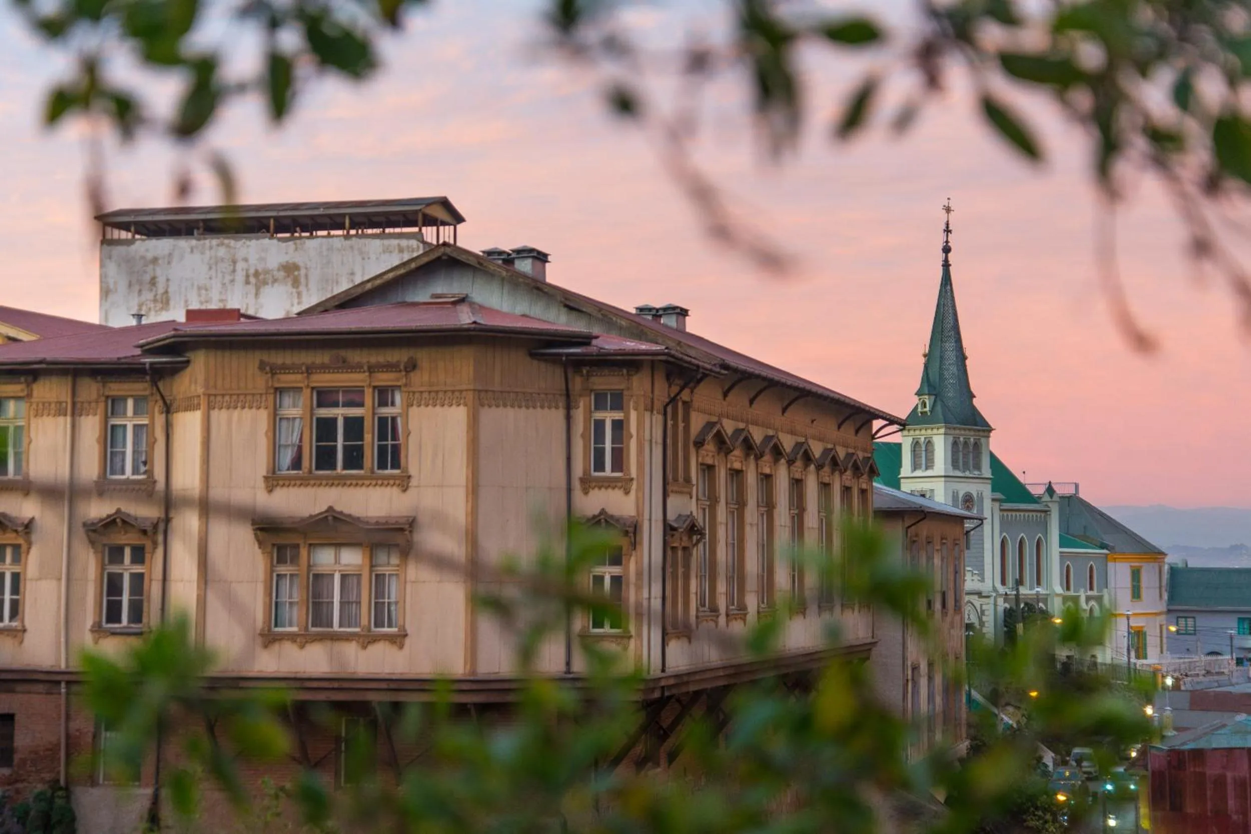 City view in Fauna Hotel