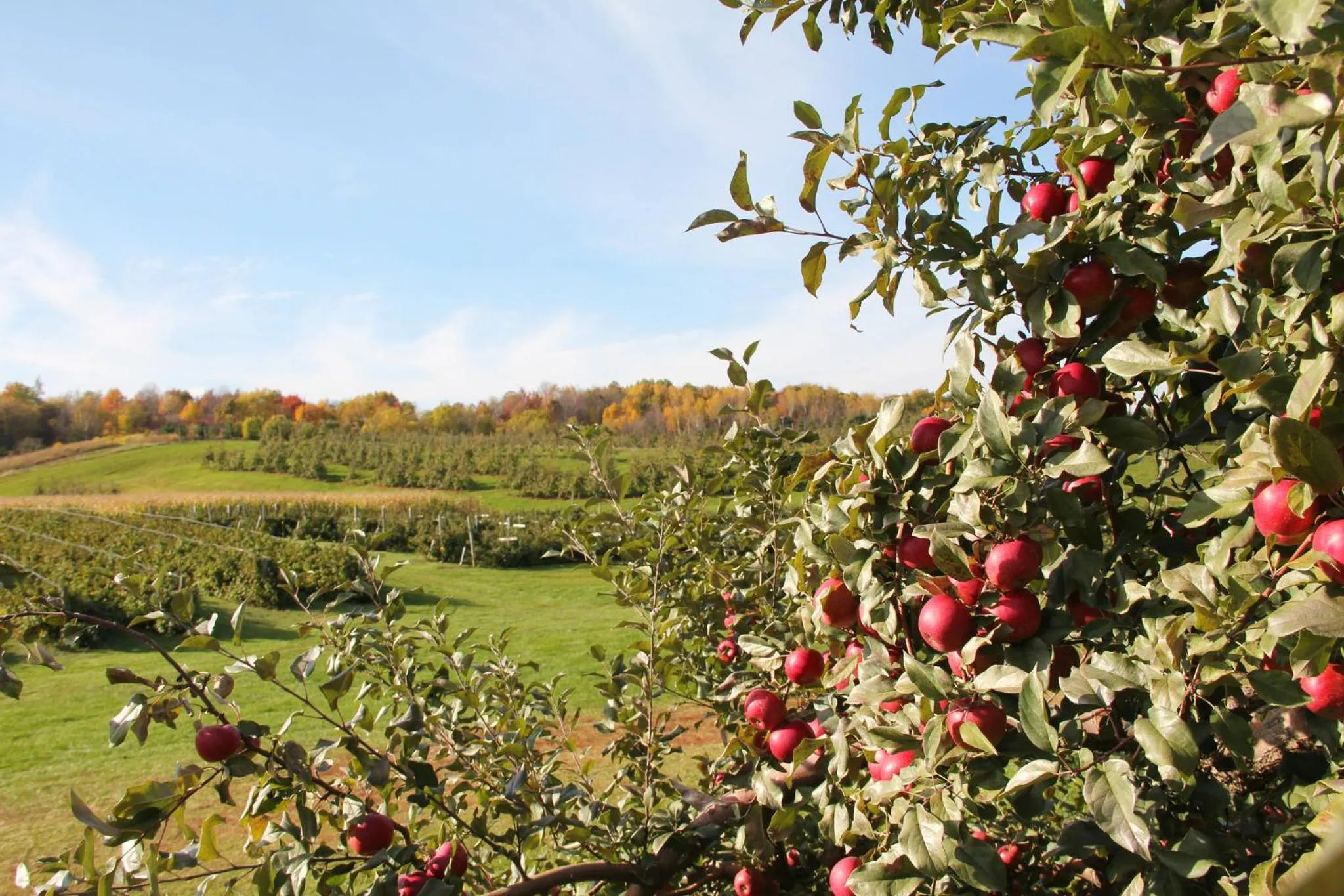 Nearby landmark in Candlewood Suites Eau Claire I-94 by IHG