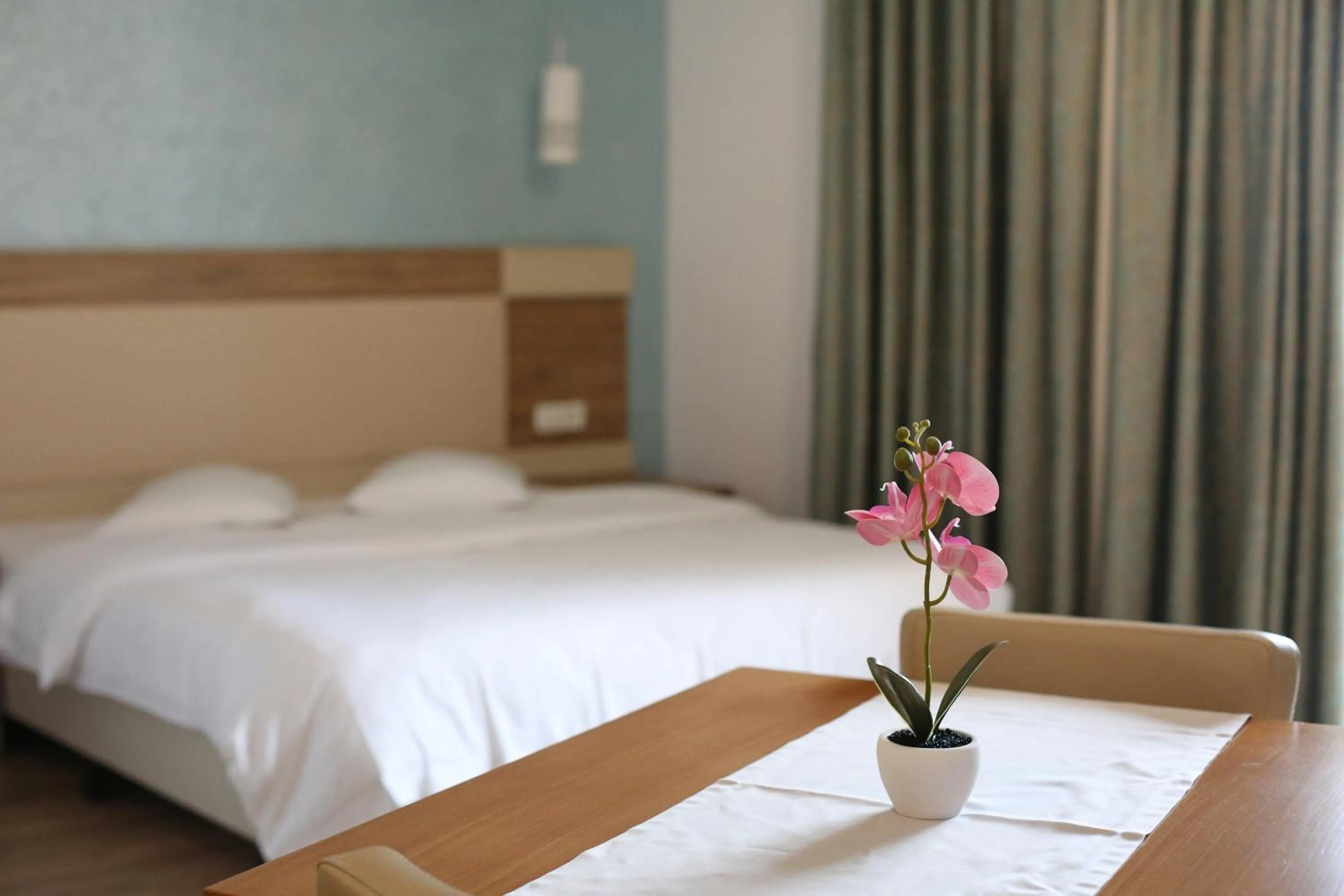 Bed in Tci Social Club