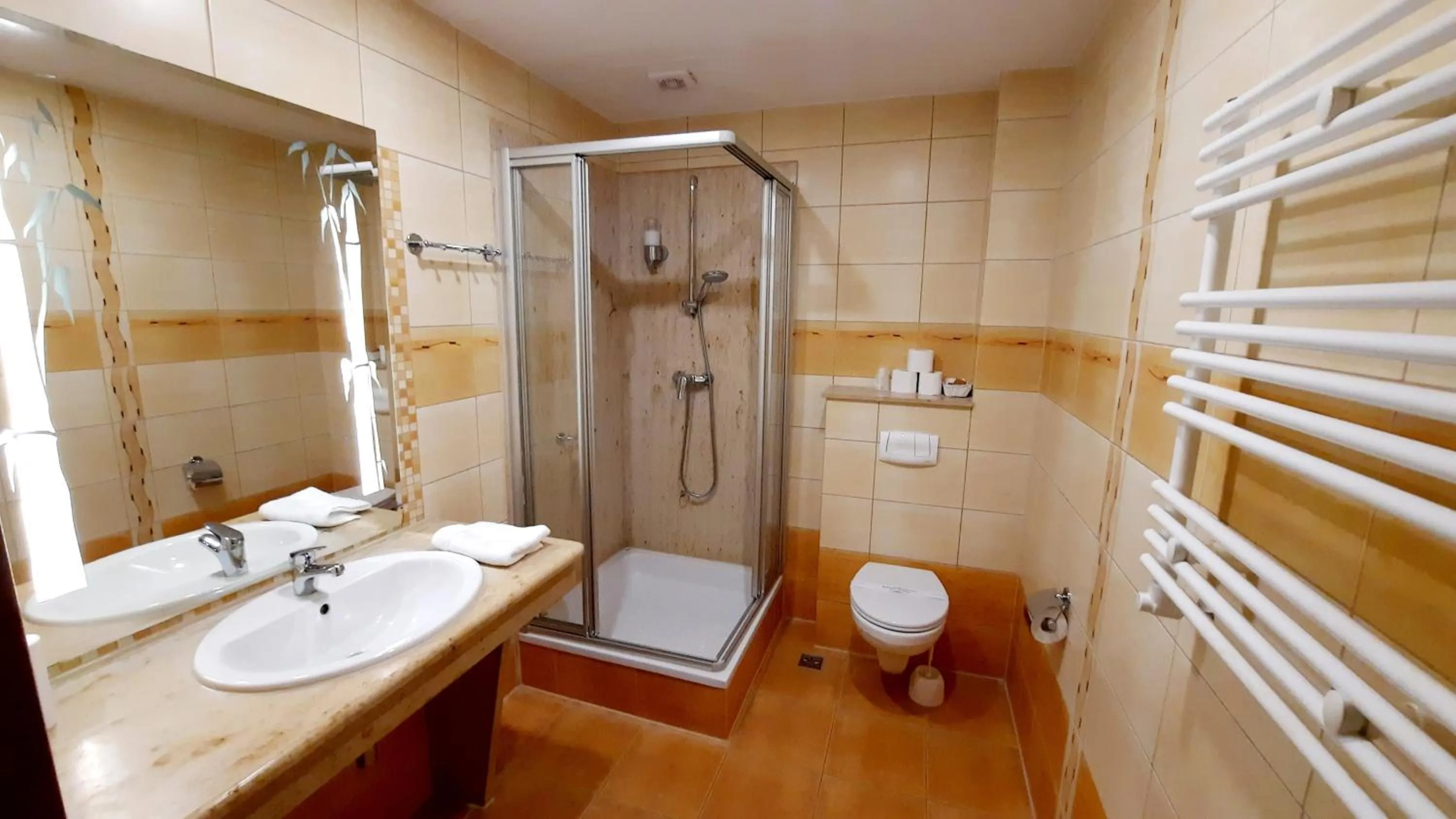 Shower in Malachit Karpacz SPA Hotel