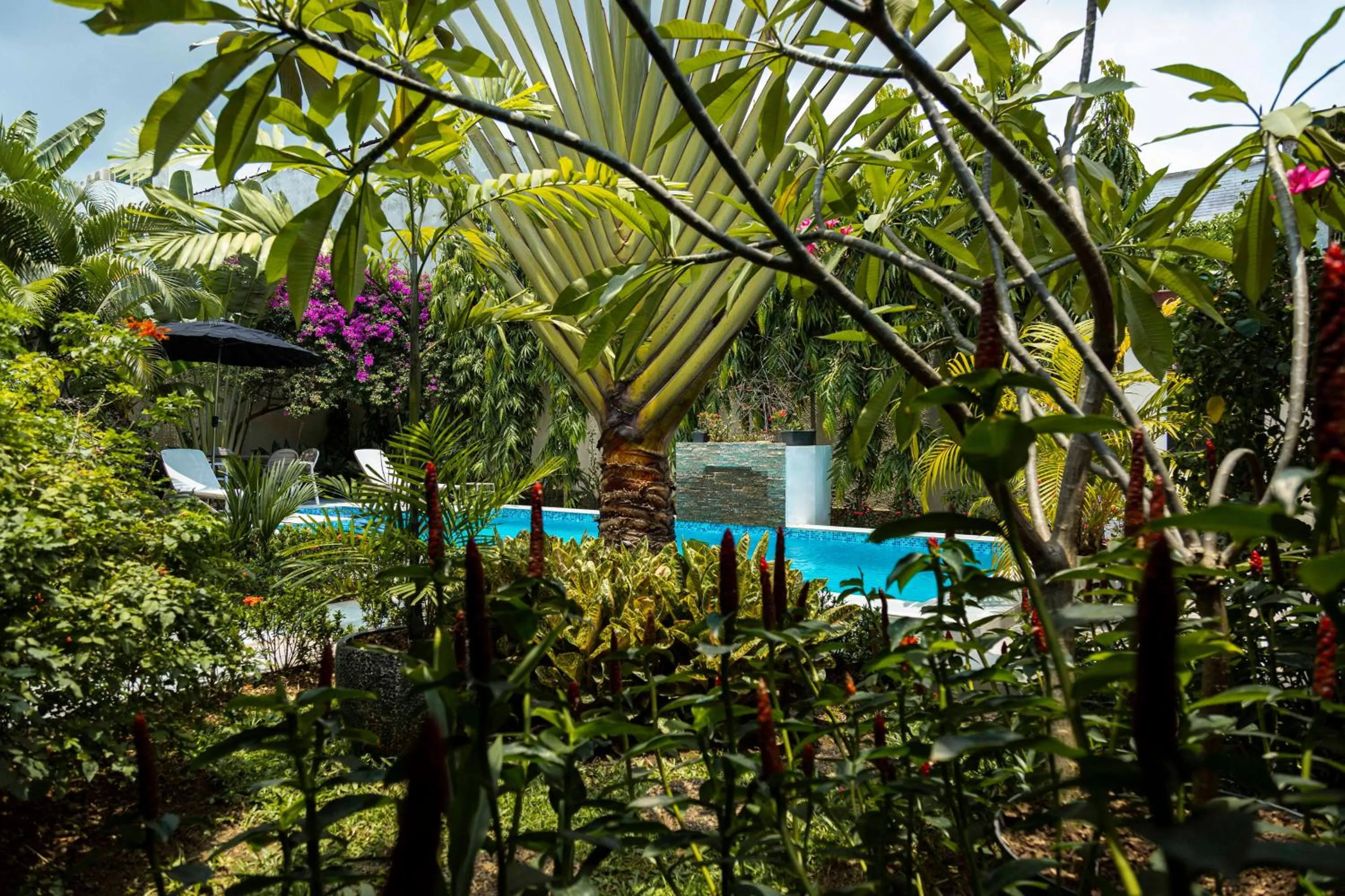 Swimming pool in Villa Jaddis