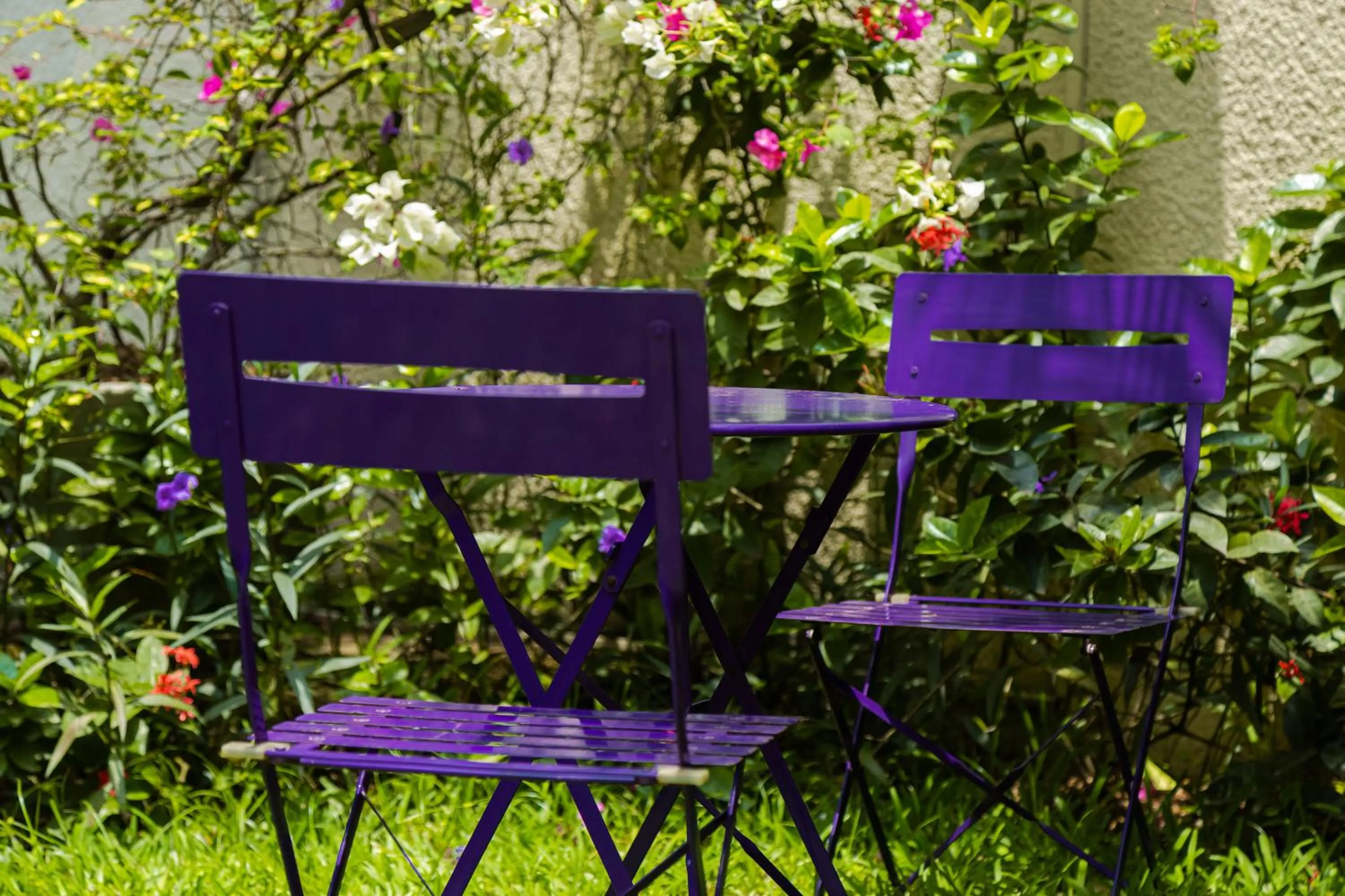 Garden in Villa Jaddis