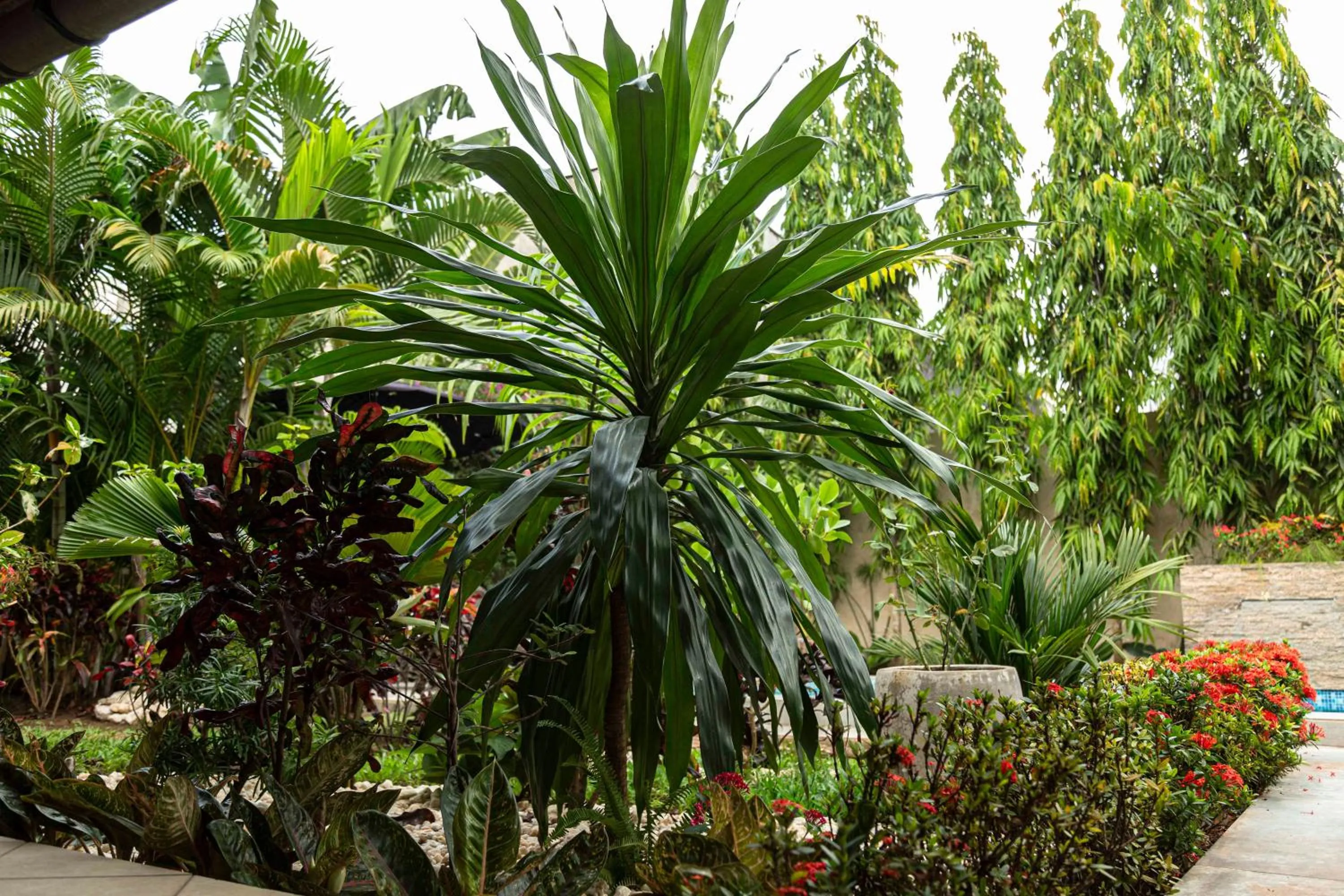 Garden in Villa Jaddis