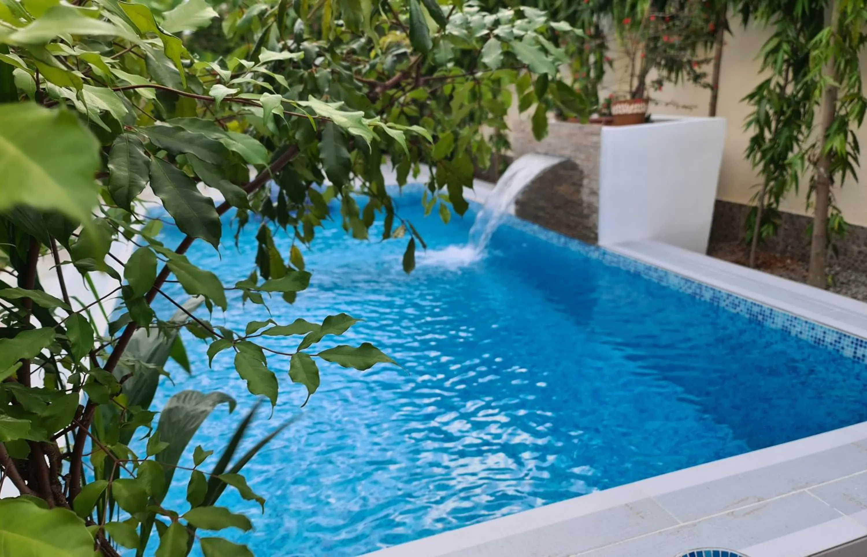 Swimming pool in Villa Jaddis