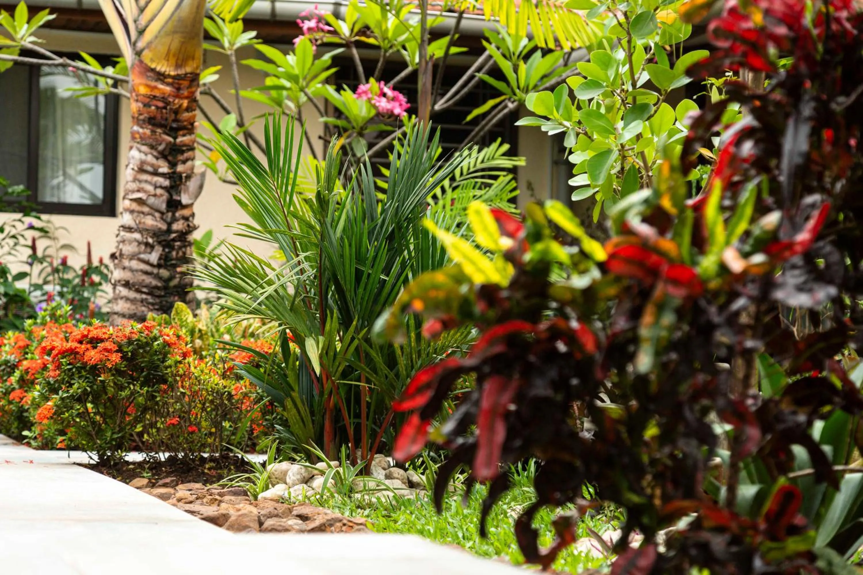 Garden in Villa Jaddis