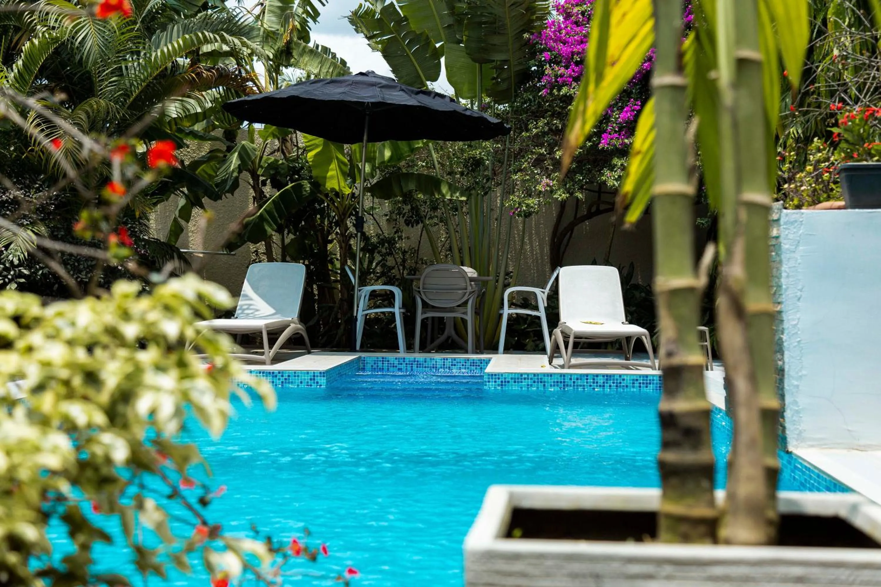 Swimming pool in Villa Jaddis