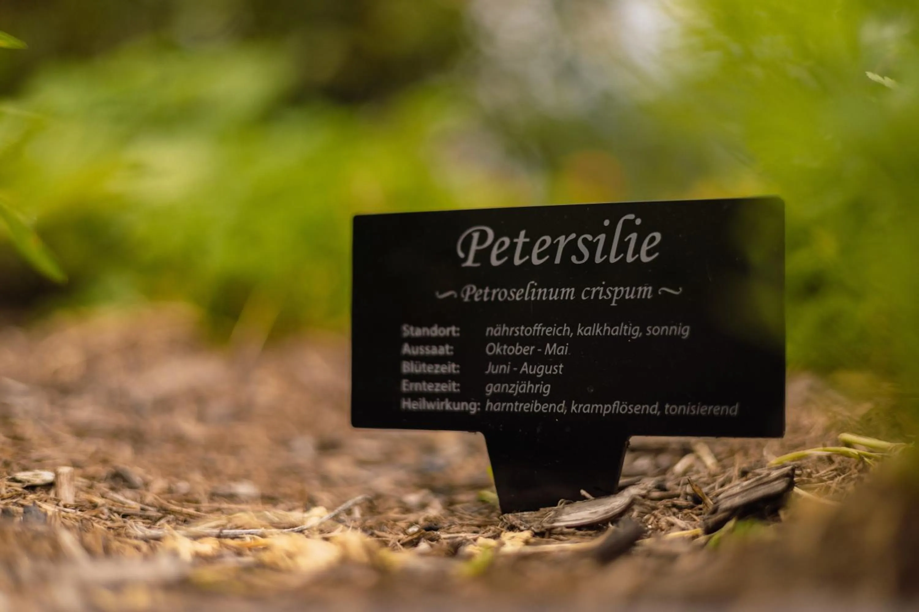 Garden in Ferienhotel Jörglerhof