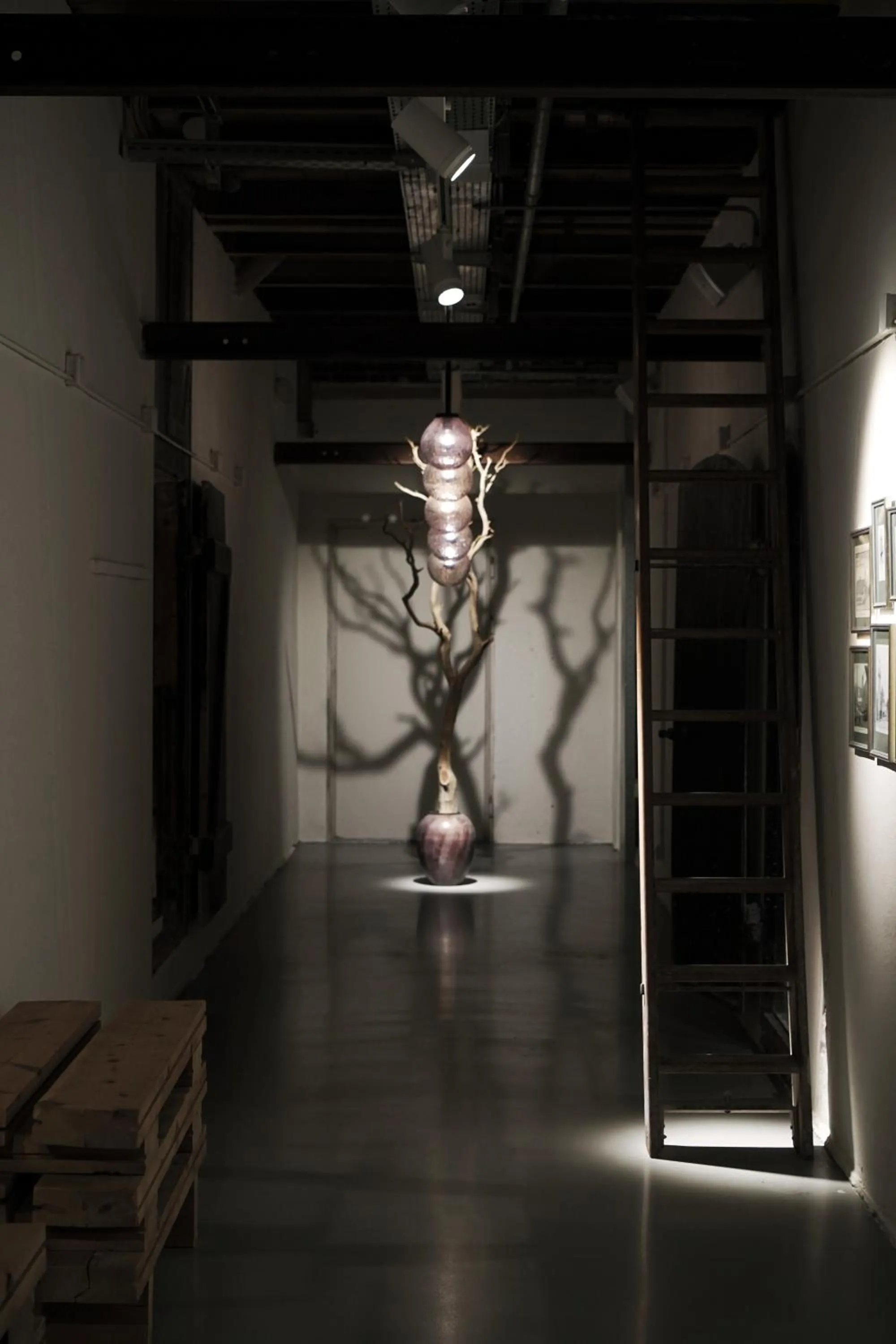 Area and facilities in Hotel Ottilia