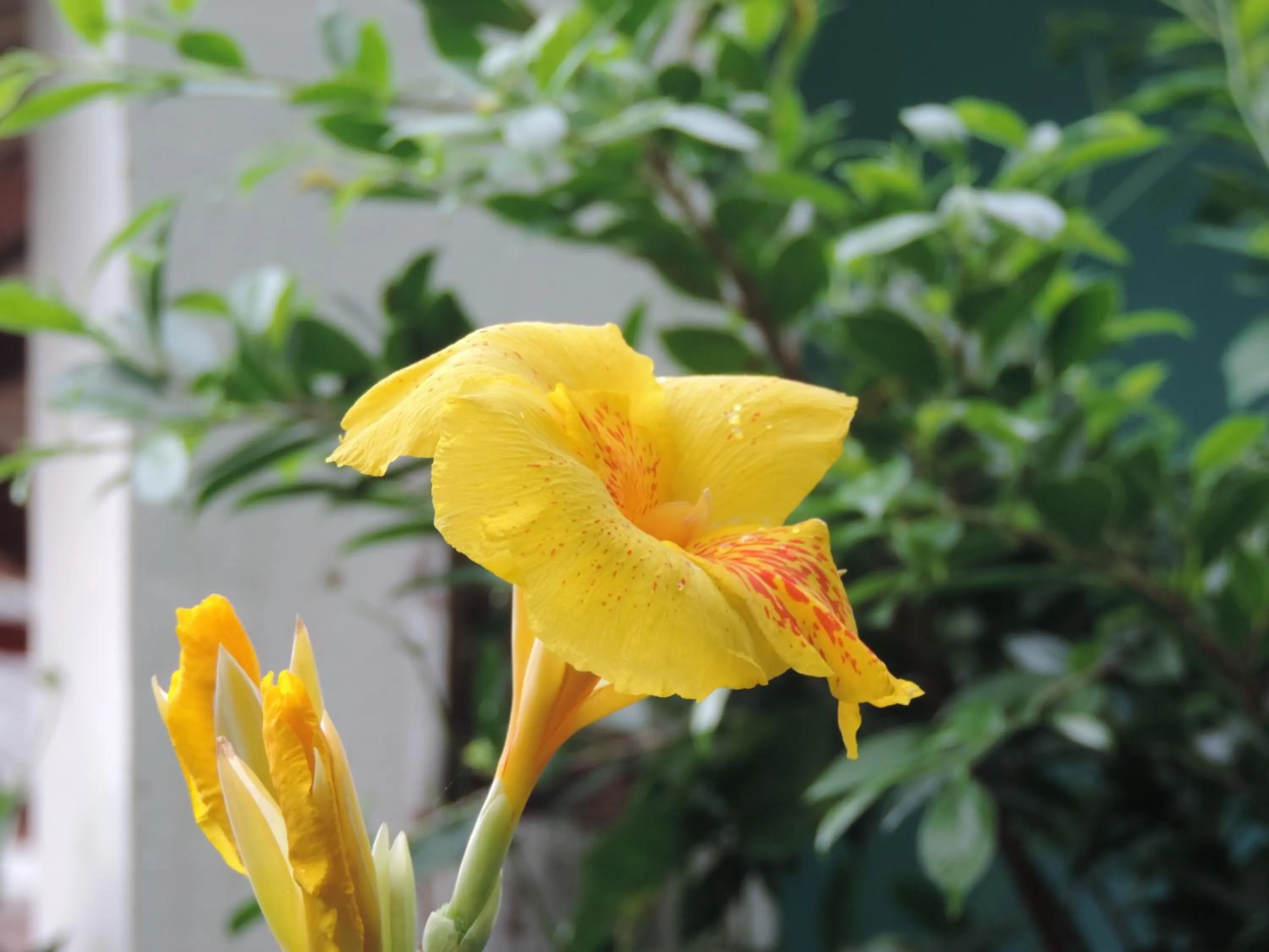 Decorative detail in Blue Paradise Residence