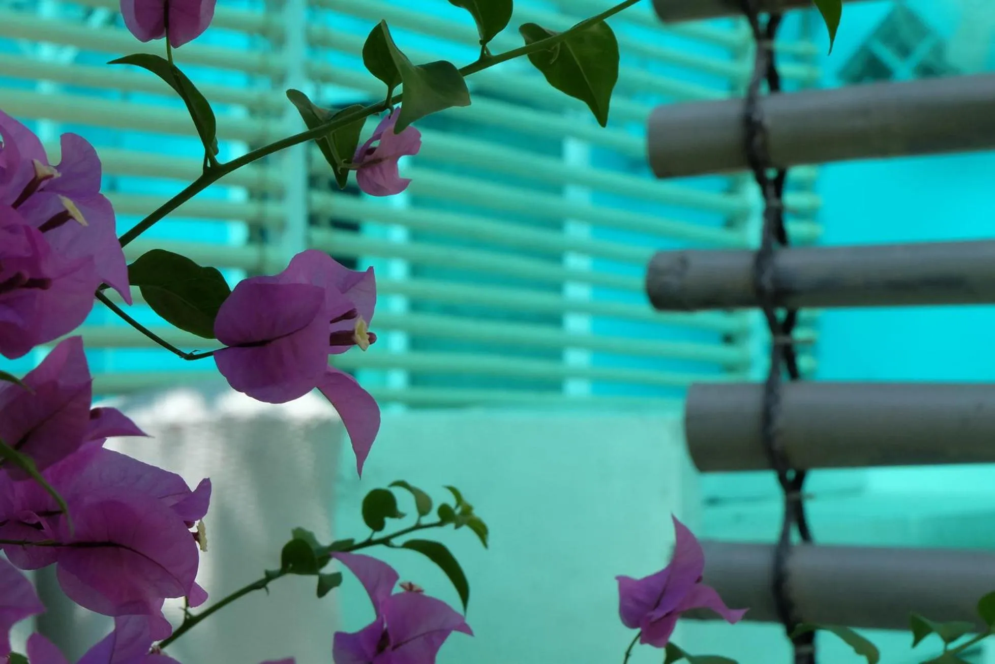 Blue Paradise Residence