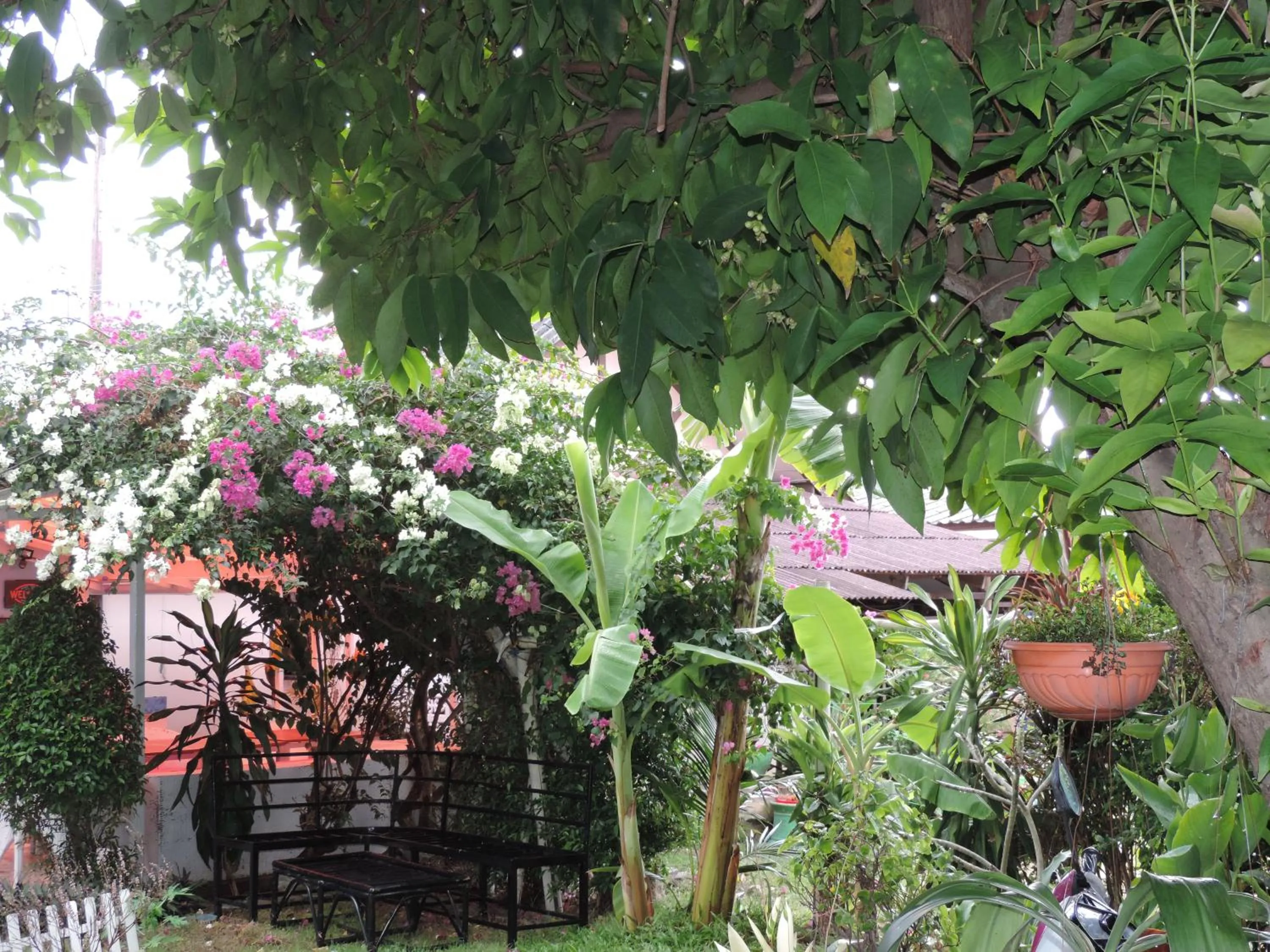 Blue Paradise Residence