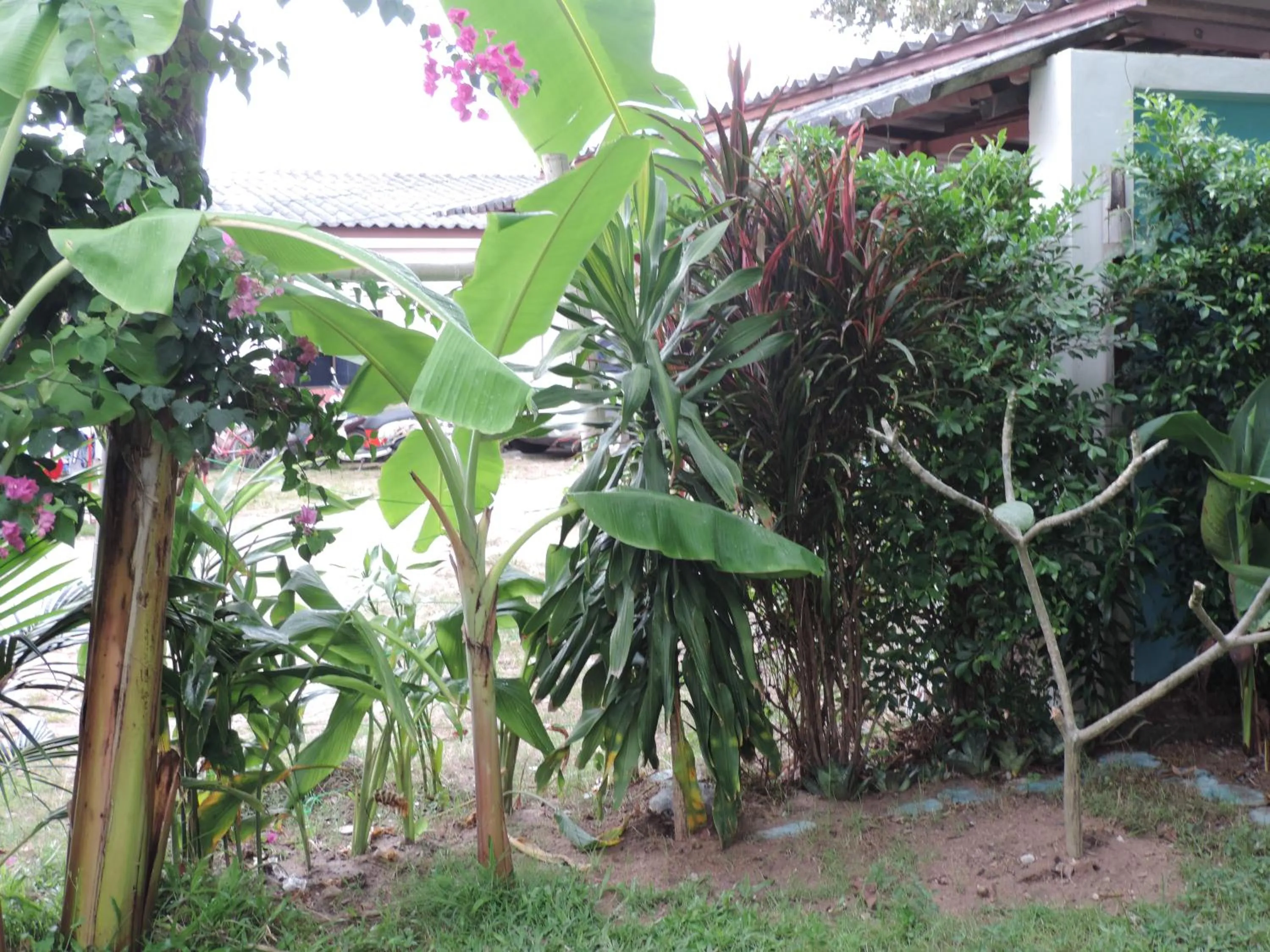 Blue Paradise Residence